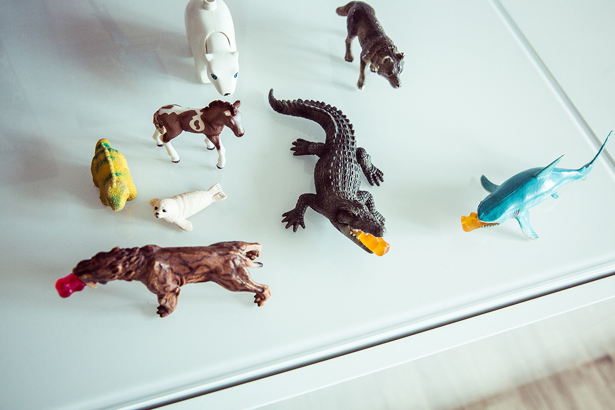 business portraits, köln, bonn, düsseldorf, corporate fotograf, unternehmensfotograf, corporate photographer, kanzlei fotos, praxis fotografie