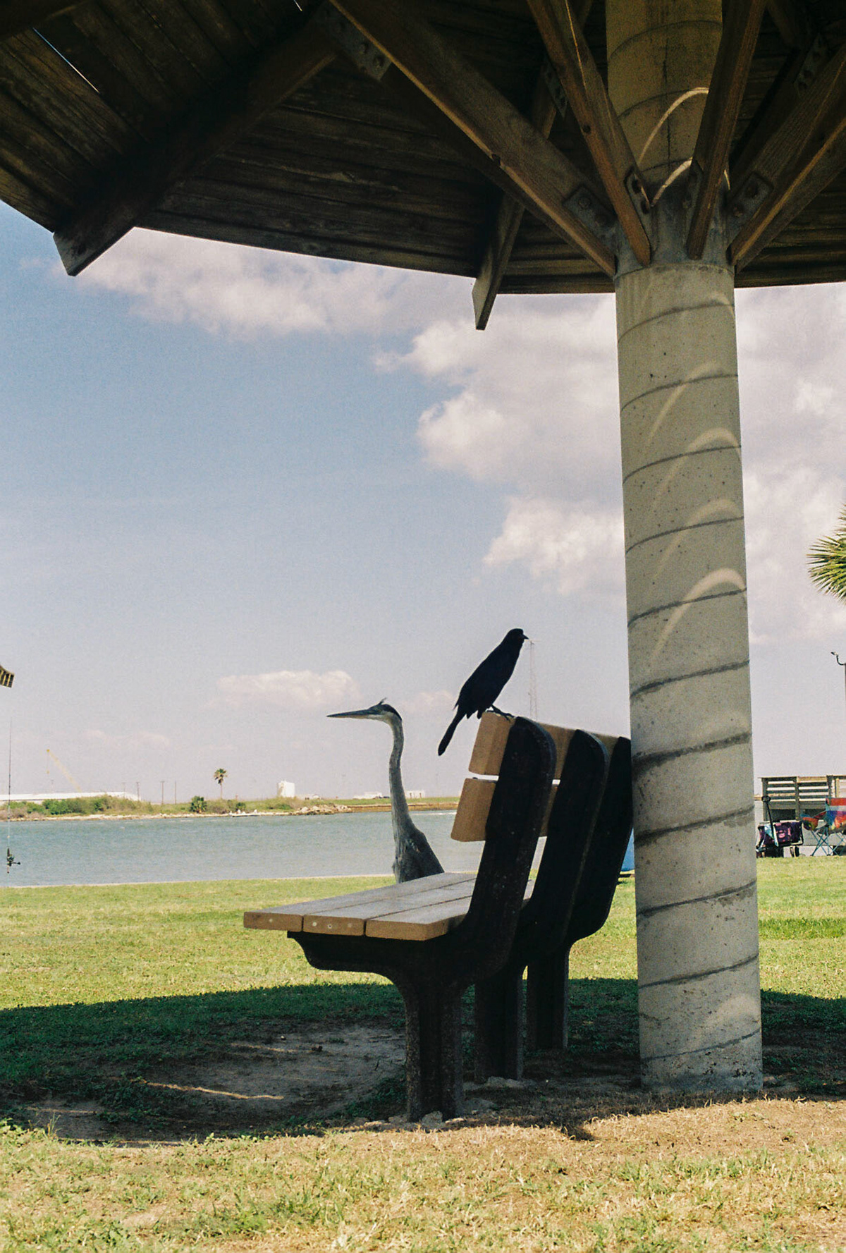 35mm Film