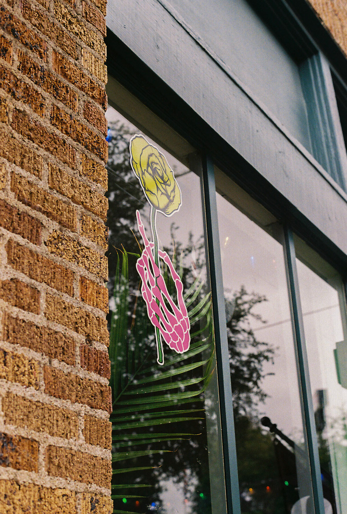35mm Film