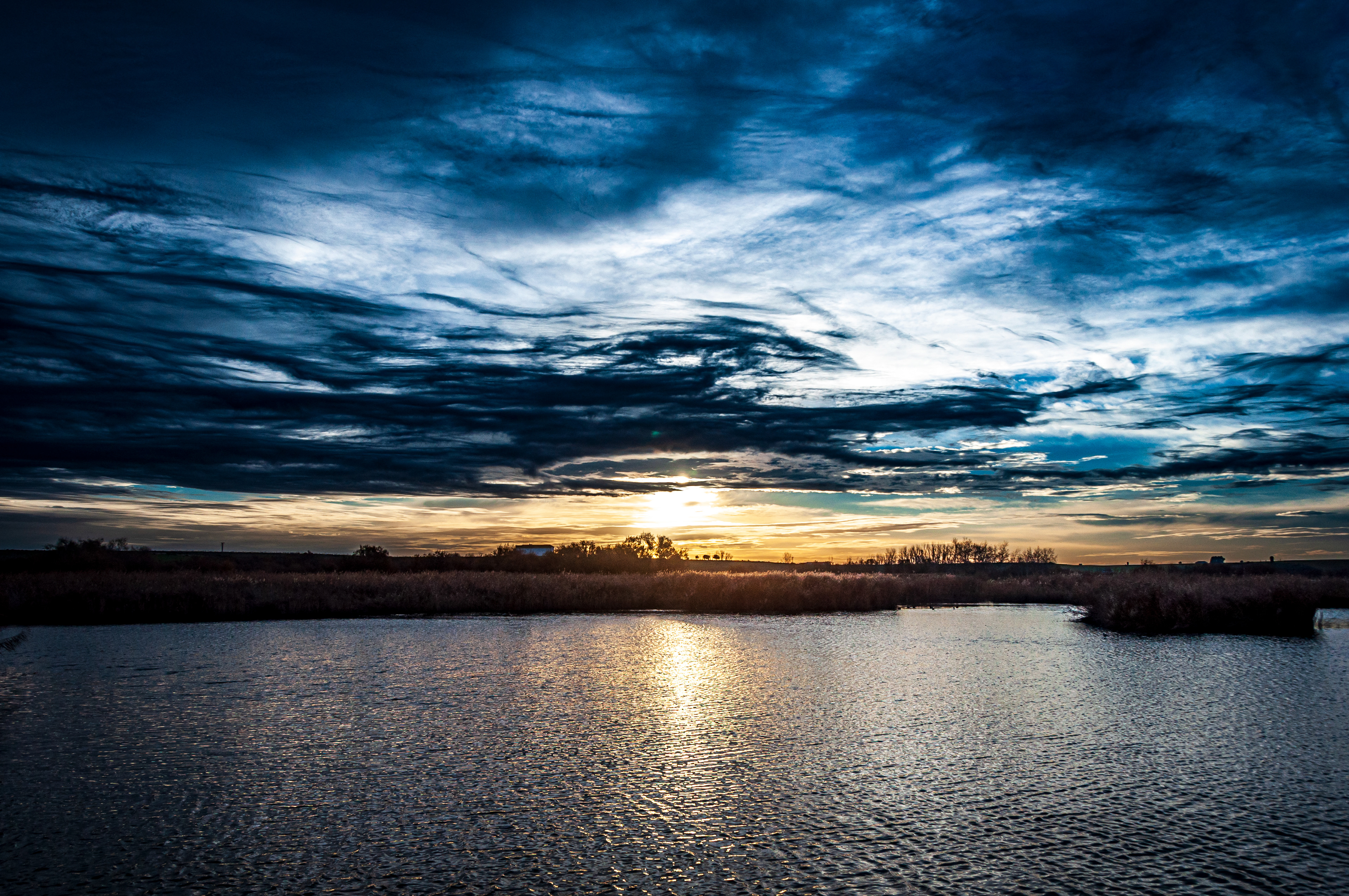 Las Tablas de Daimiel (Ciudad Real) 2.010