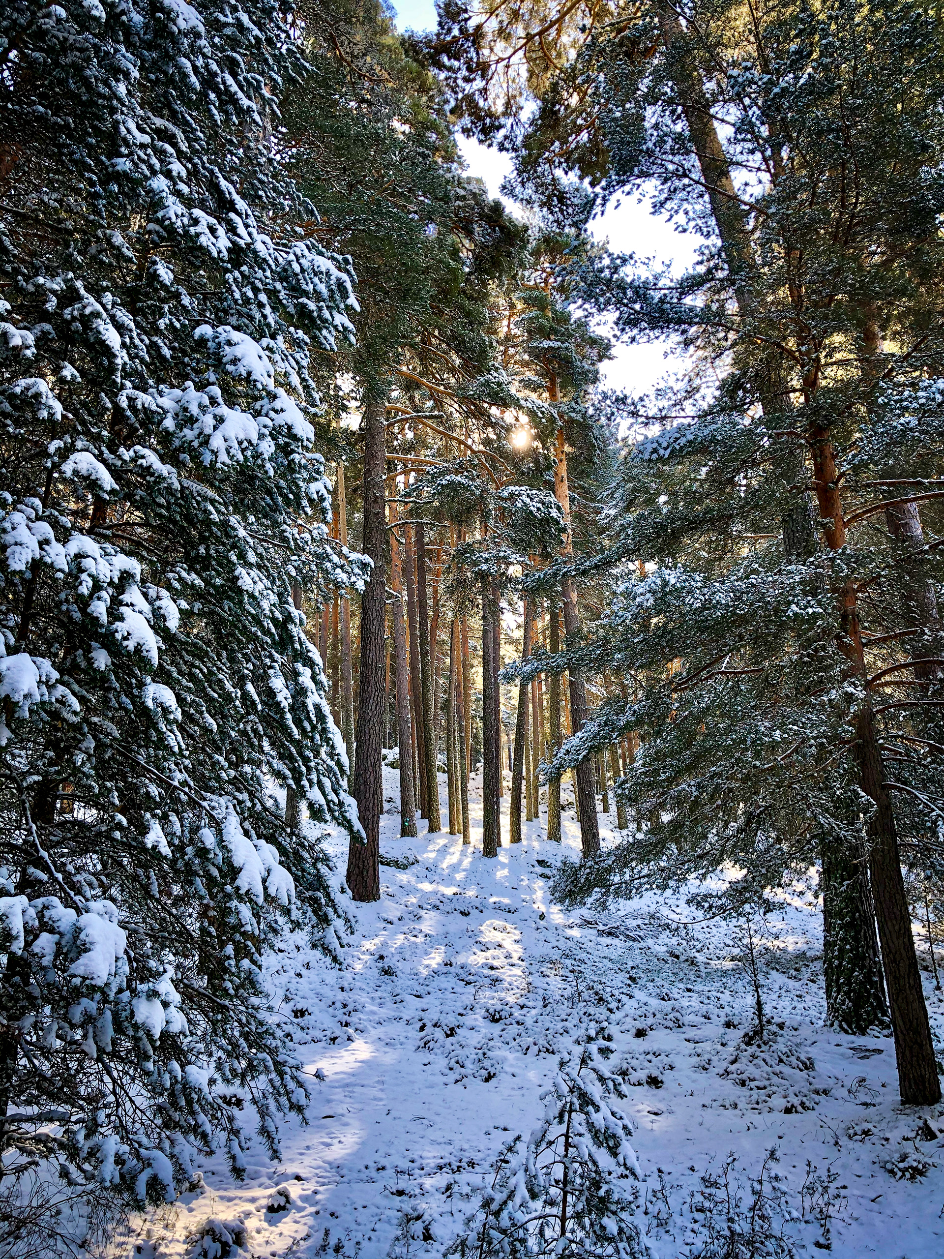 Navarredonda de Gredos (Ávila) 2.019