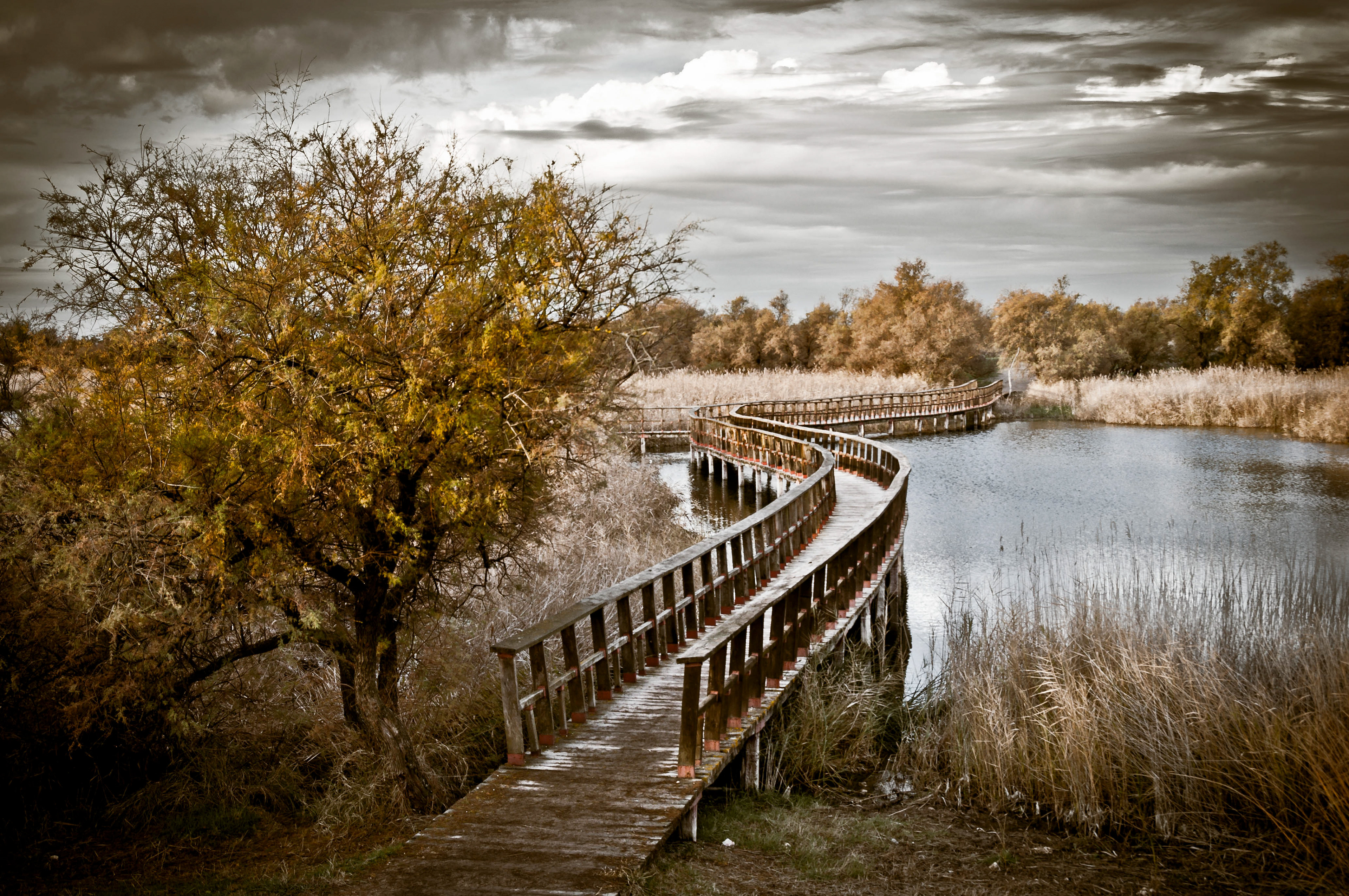 Las Tablas de Daimiel (Ciudad Real) 2.010