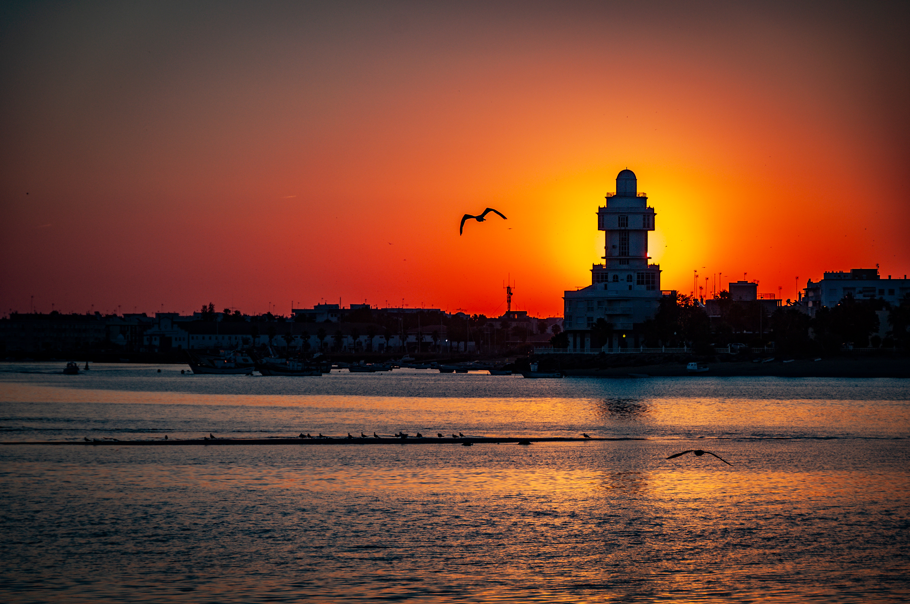 Isla Canela (Huelva) 2.015
