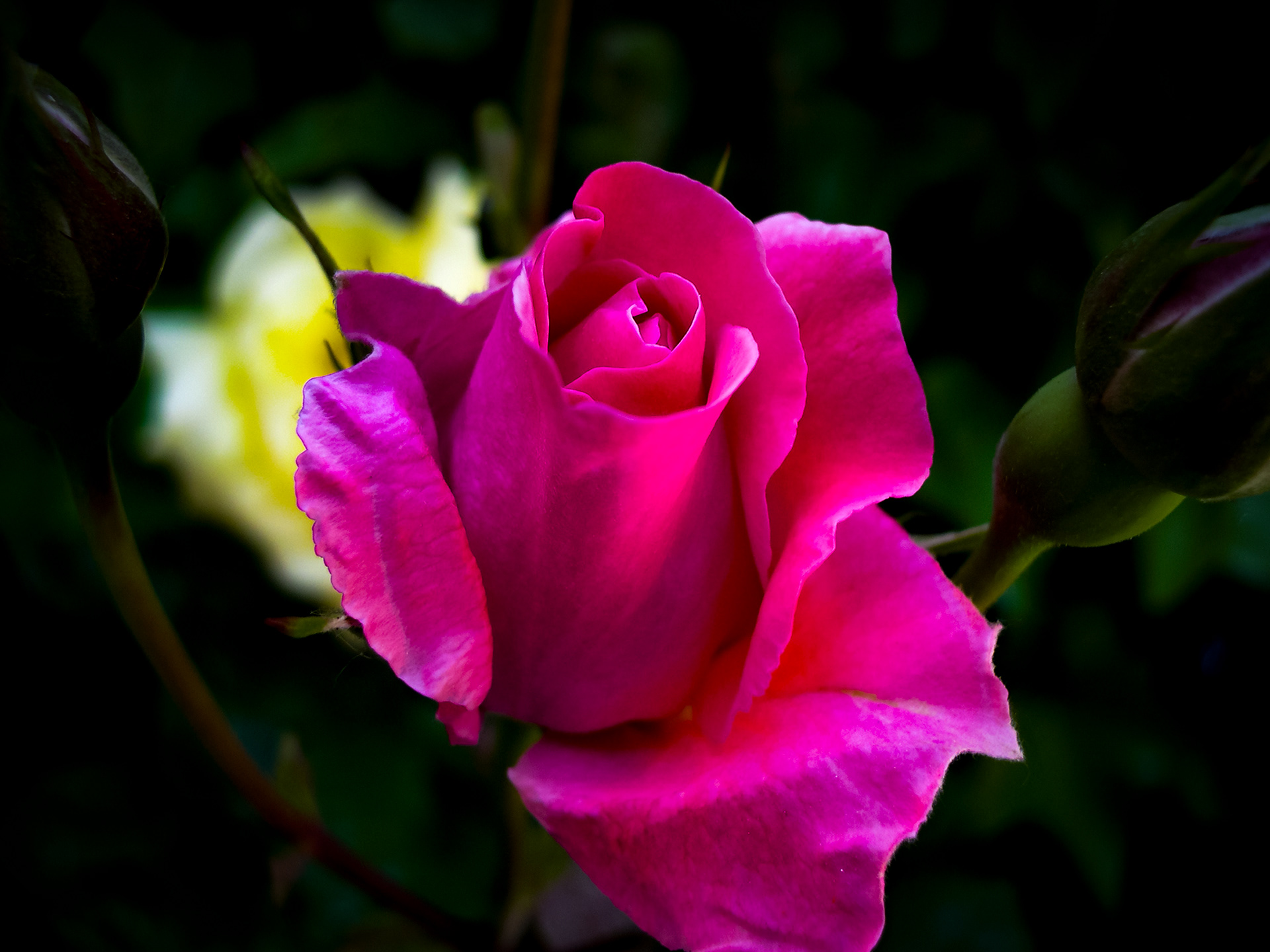 Alcalá de Henares (Madrid) 2.003