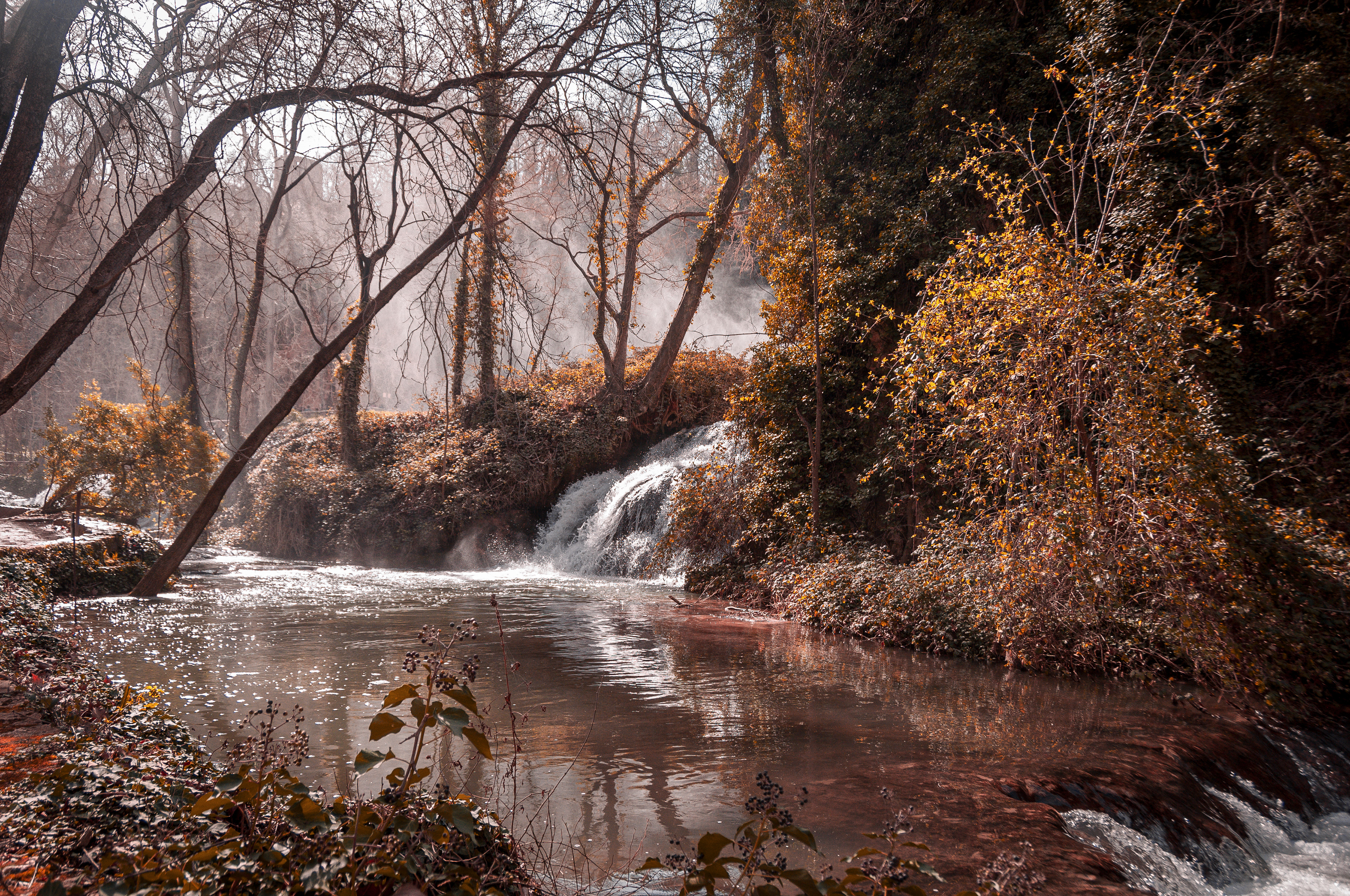 Monasterio de Piedra (Zaragoza) 2.020