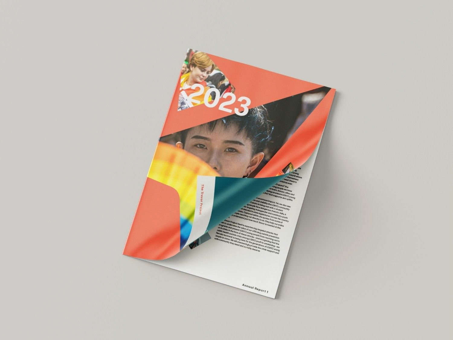 annual report mock up, 2023