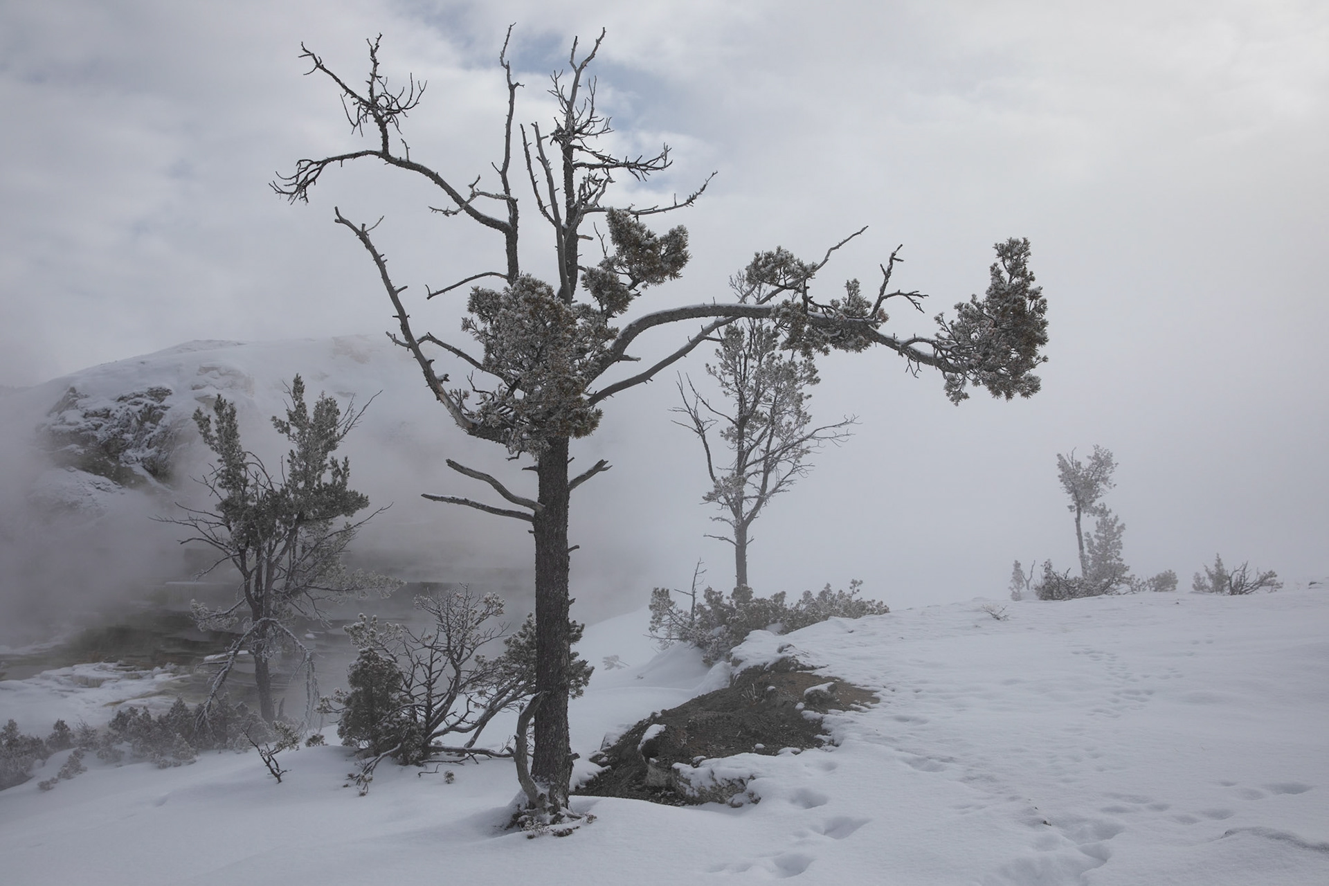 A landscape unlike any other. Boiling and Freezing. Yellowstone.