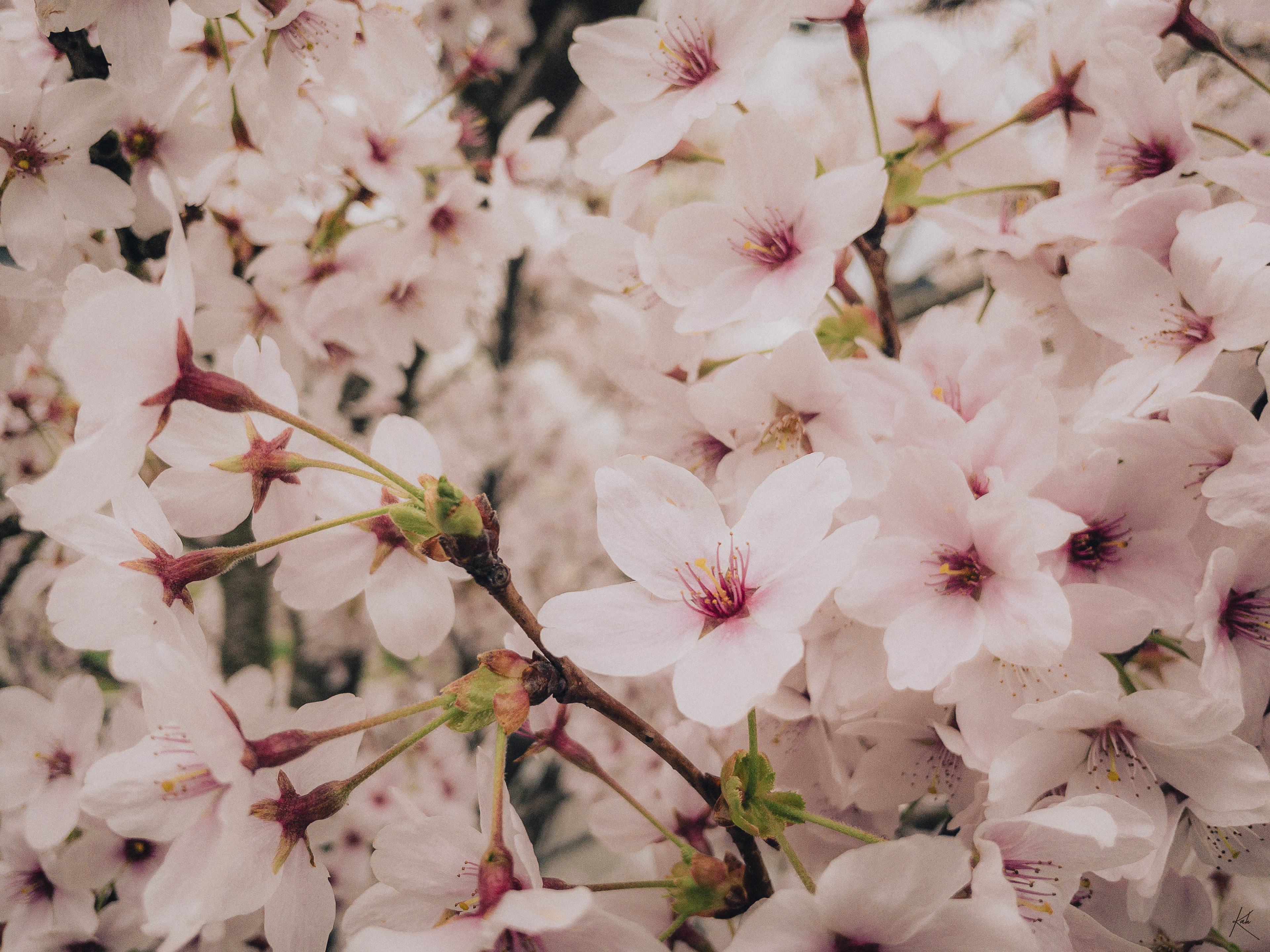 • Rennes | 2025 •