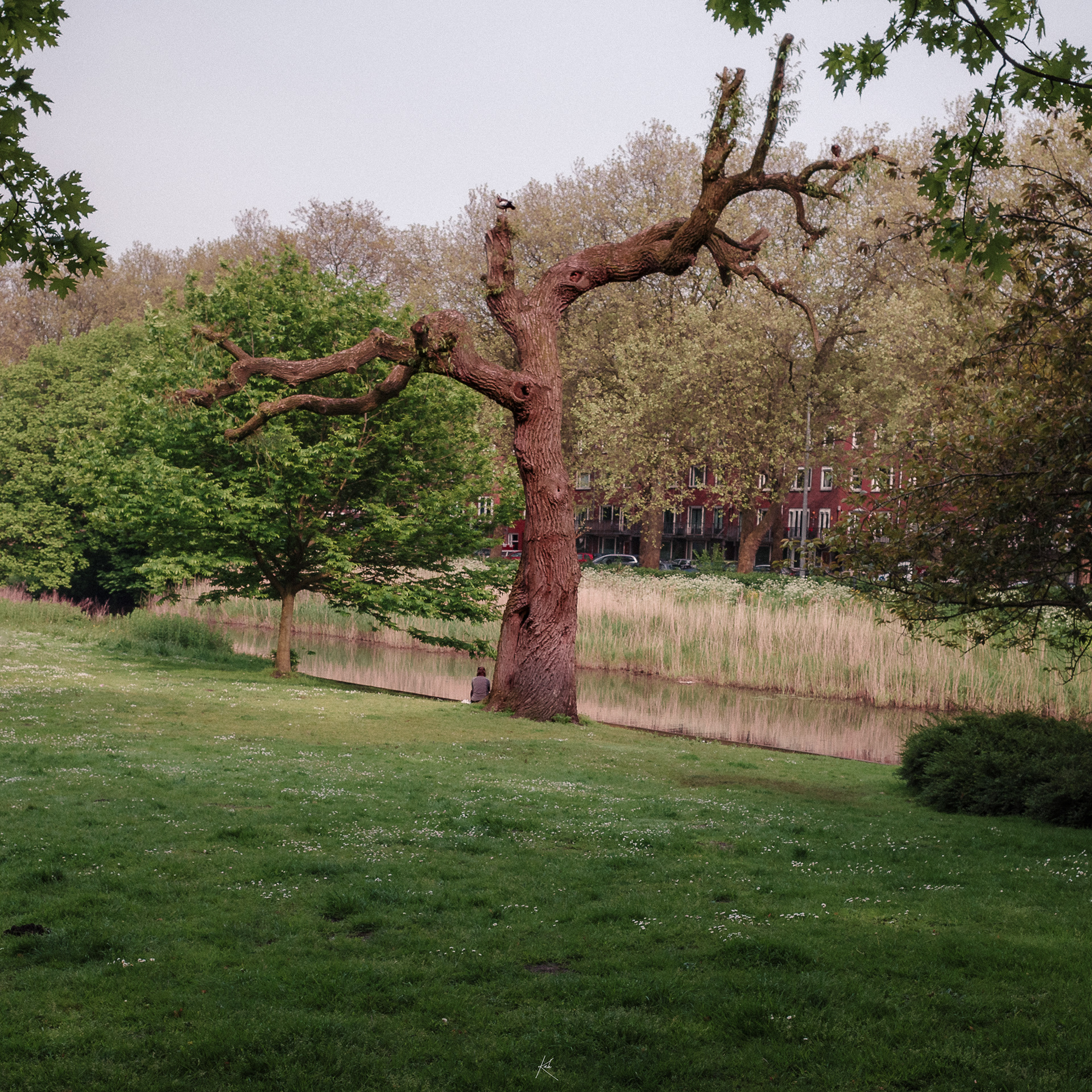 • Amesterdam | 2023 •