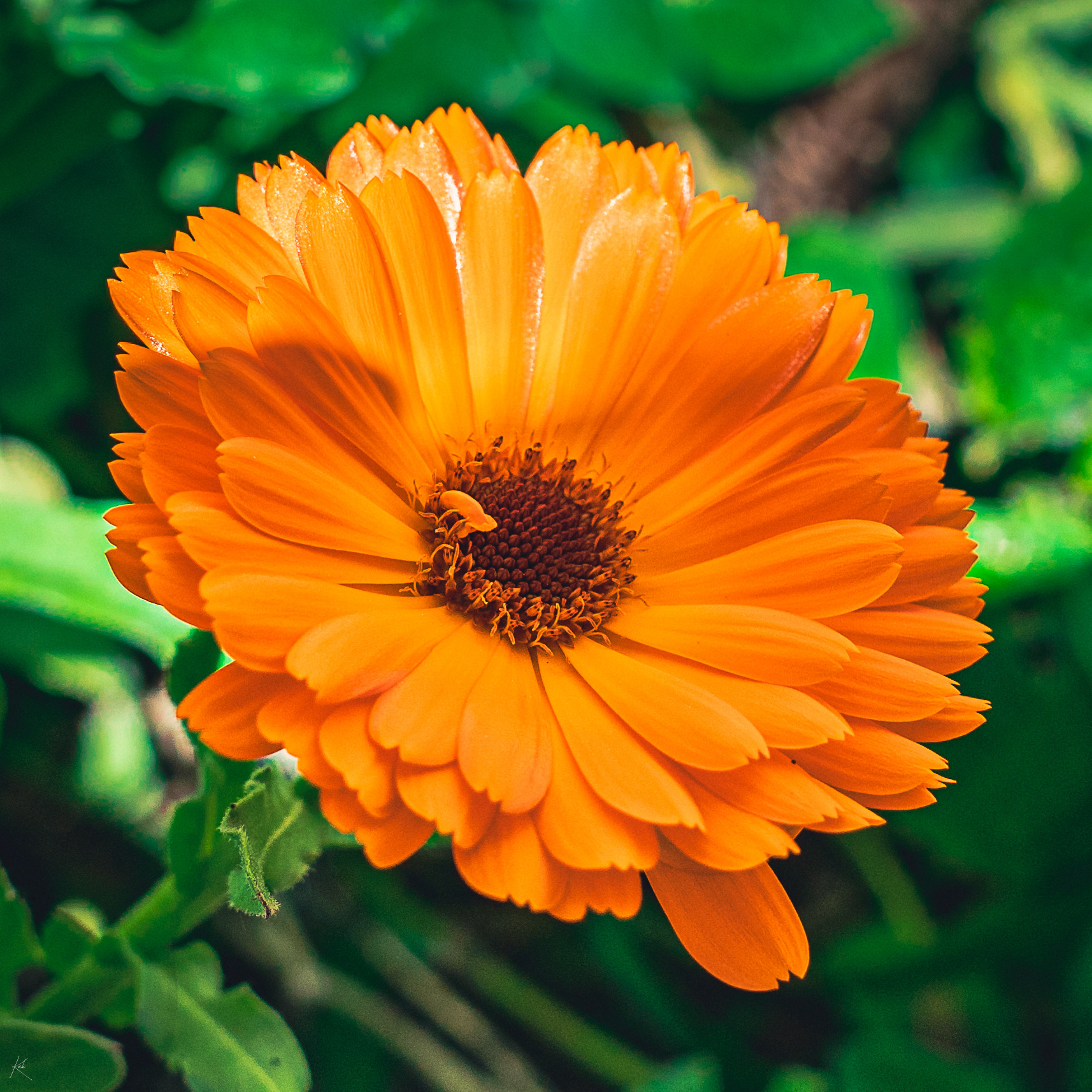 • Rennes | 2023 •