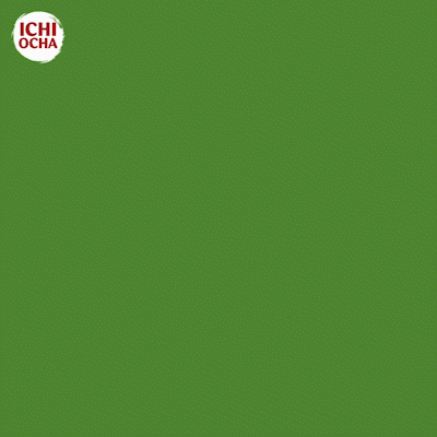 Ichi Ocha Green Tea
