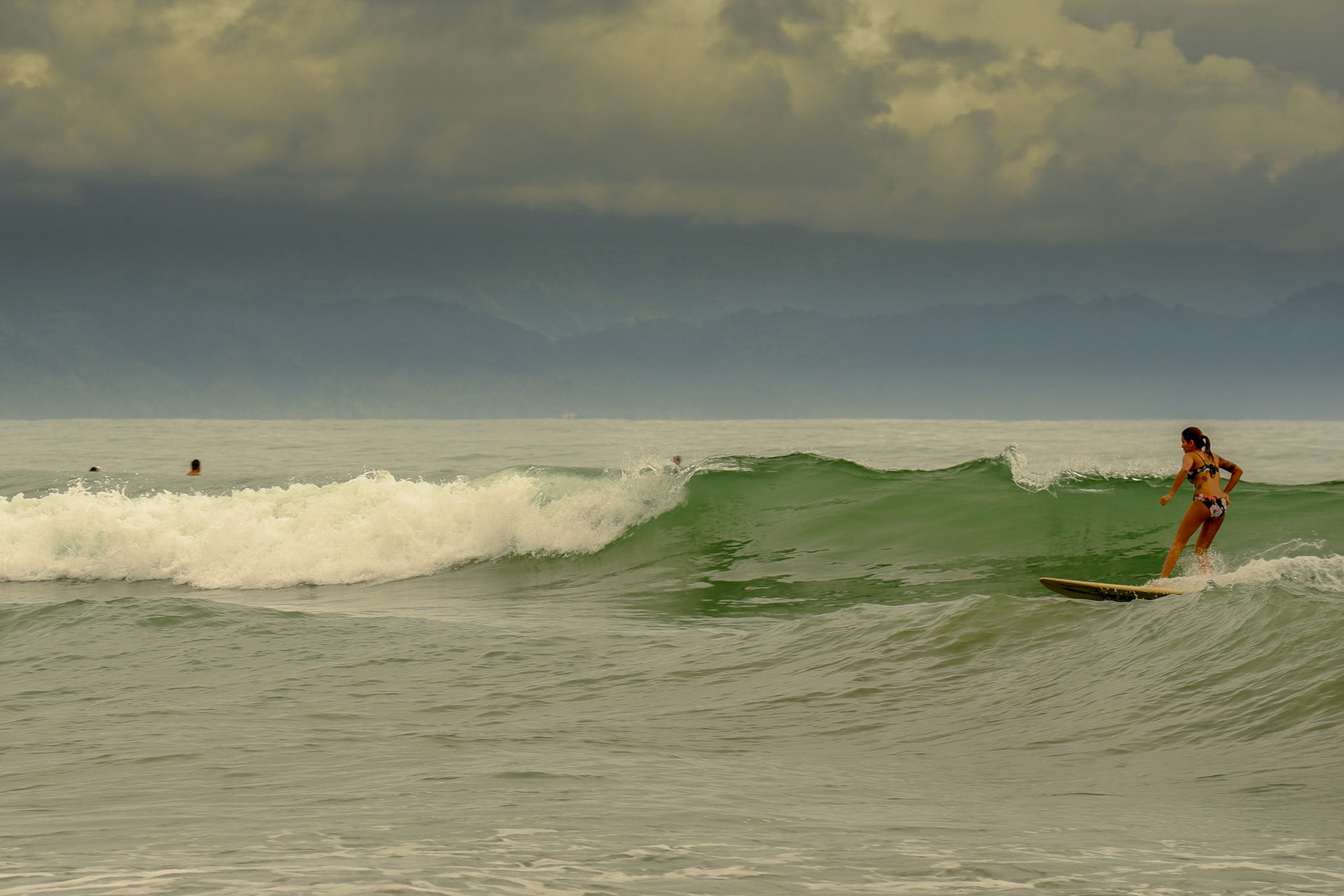 Weekend Surfer