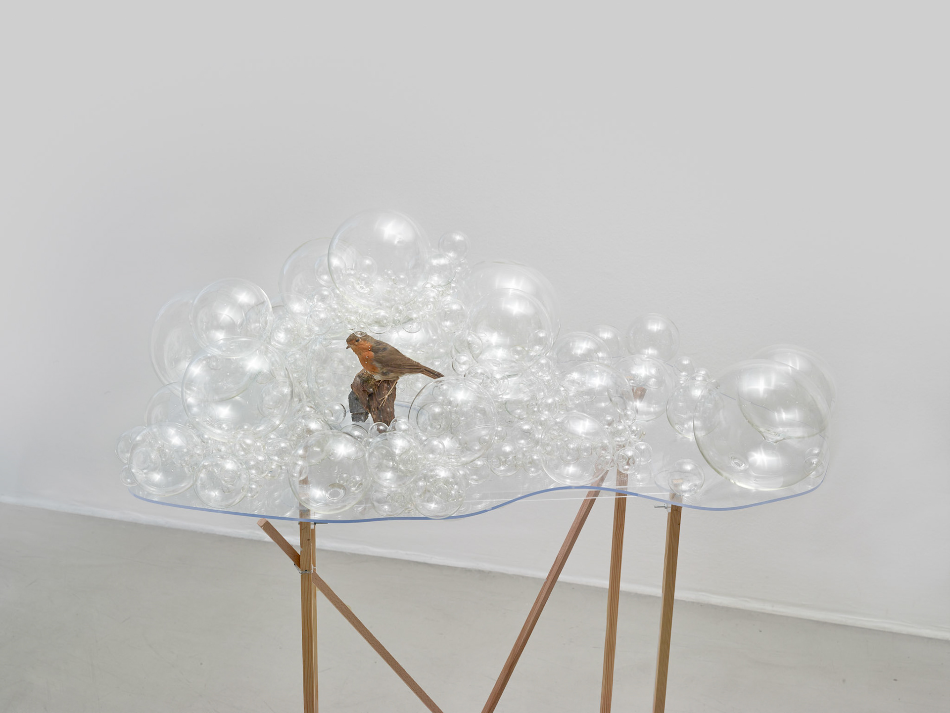Britta Keber, Glass and Taxidermy