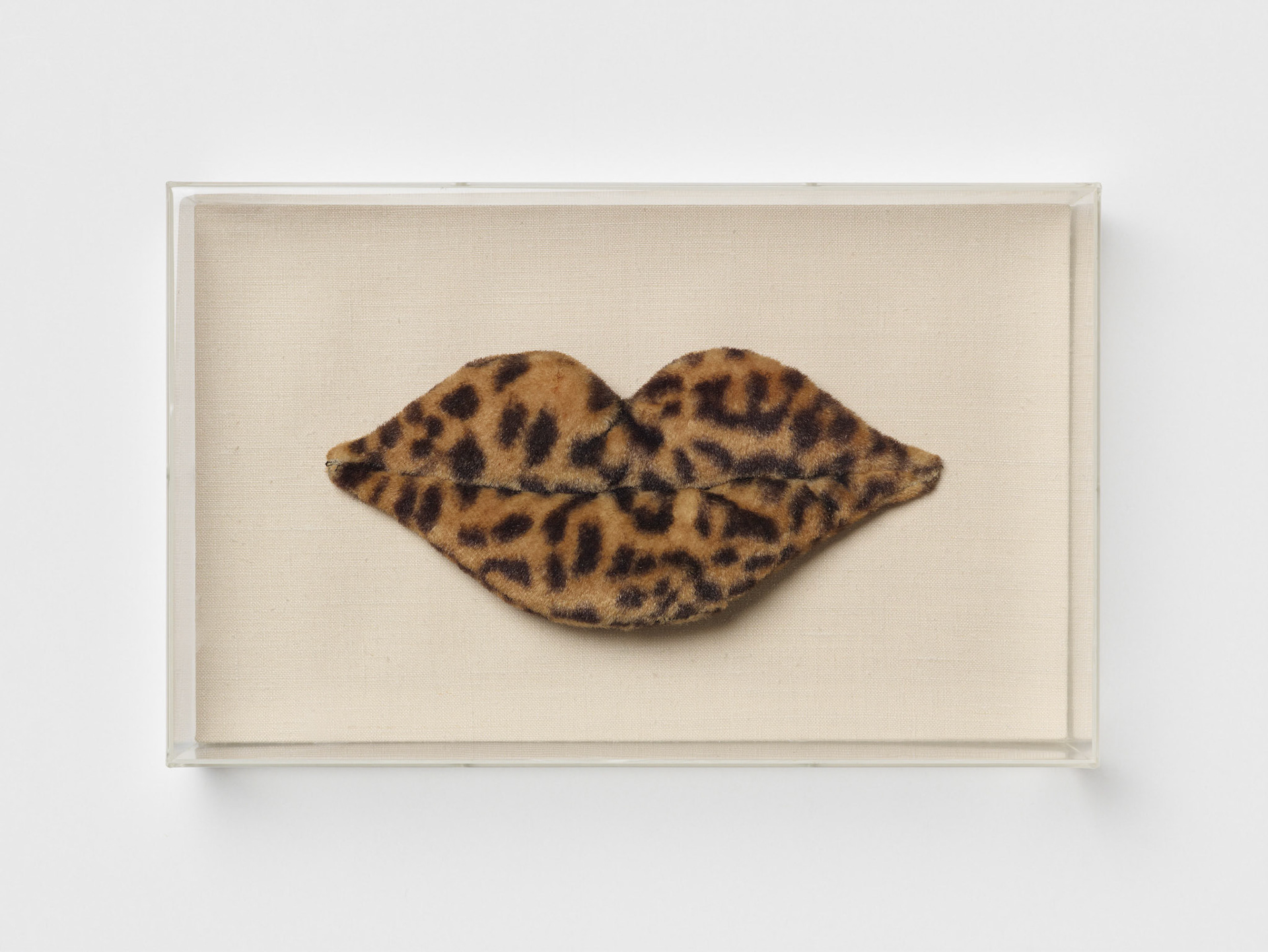Claes Oldenburg ! Untitled (Leopard lips) Claes Oldenburg ! Untitled (Leopard lips) Year unknown — Stuffing, fake leopard fur on lined board and Plexiglas — 21 x 7 x 34 cm