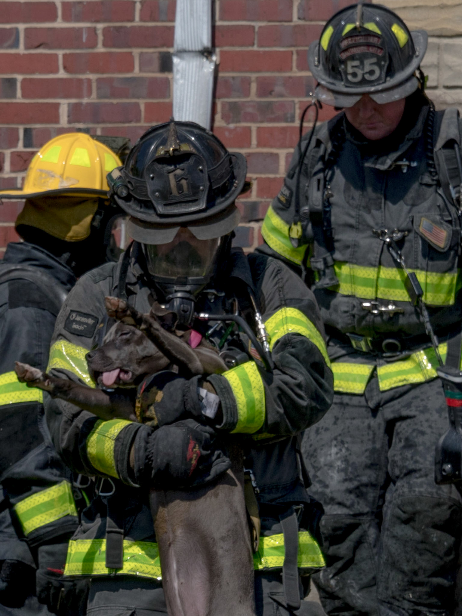 Baltimore City Box 35-10, 3612 10th St, May 3, 2018. Fire in an occupied rowhouse; dog rescued but did not survive.
