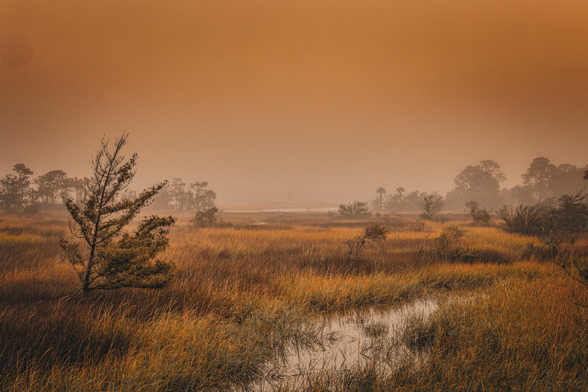 Foggy dawn on the ICWW
