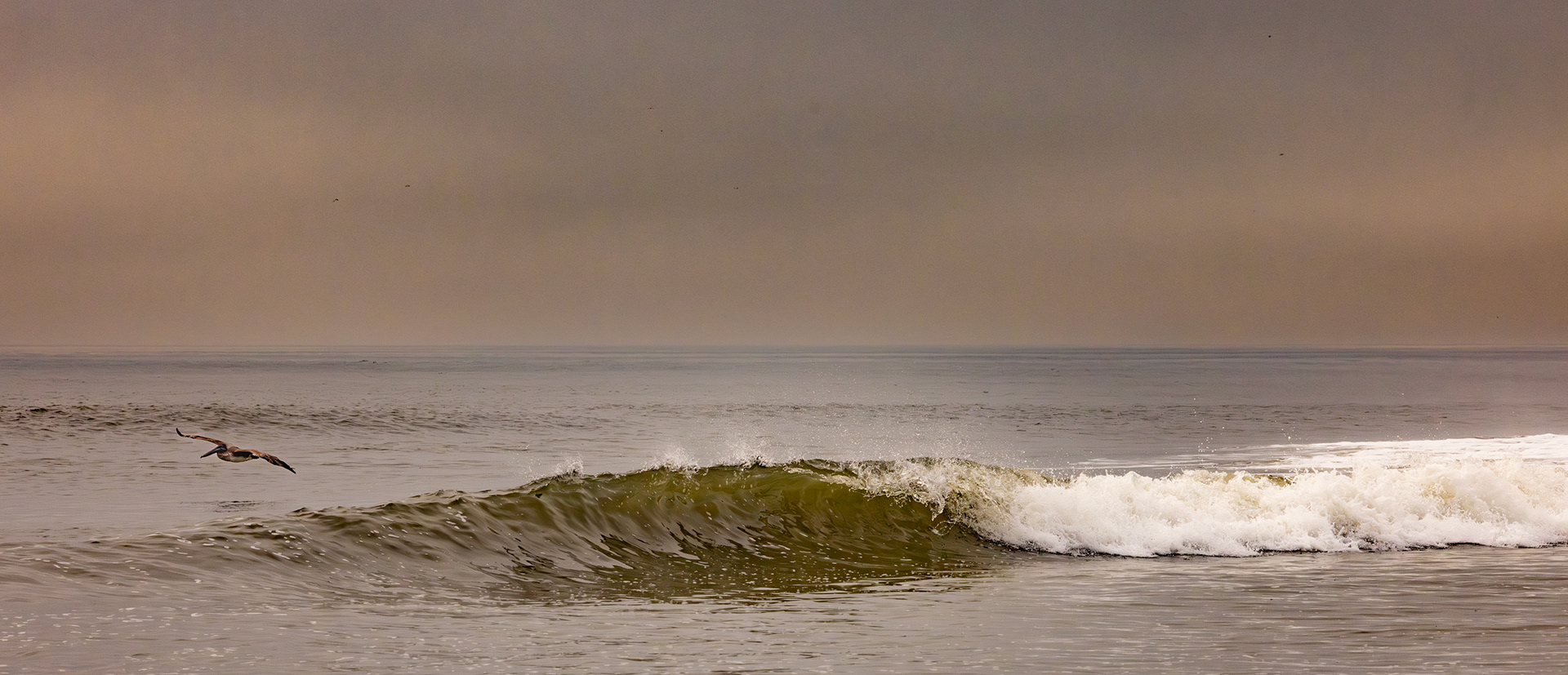 Cruising Pelican over Atlantic Beach