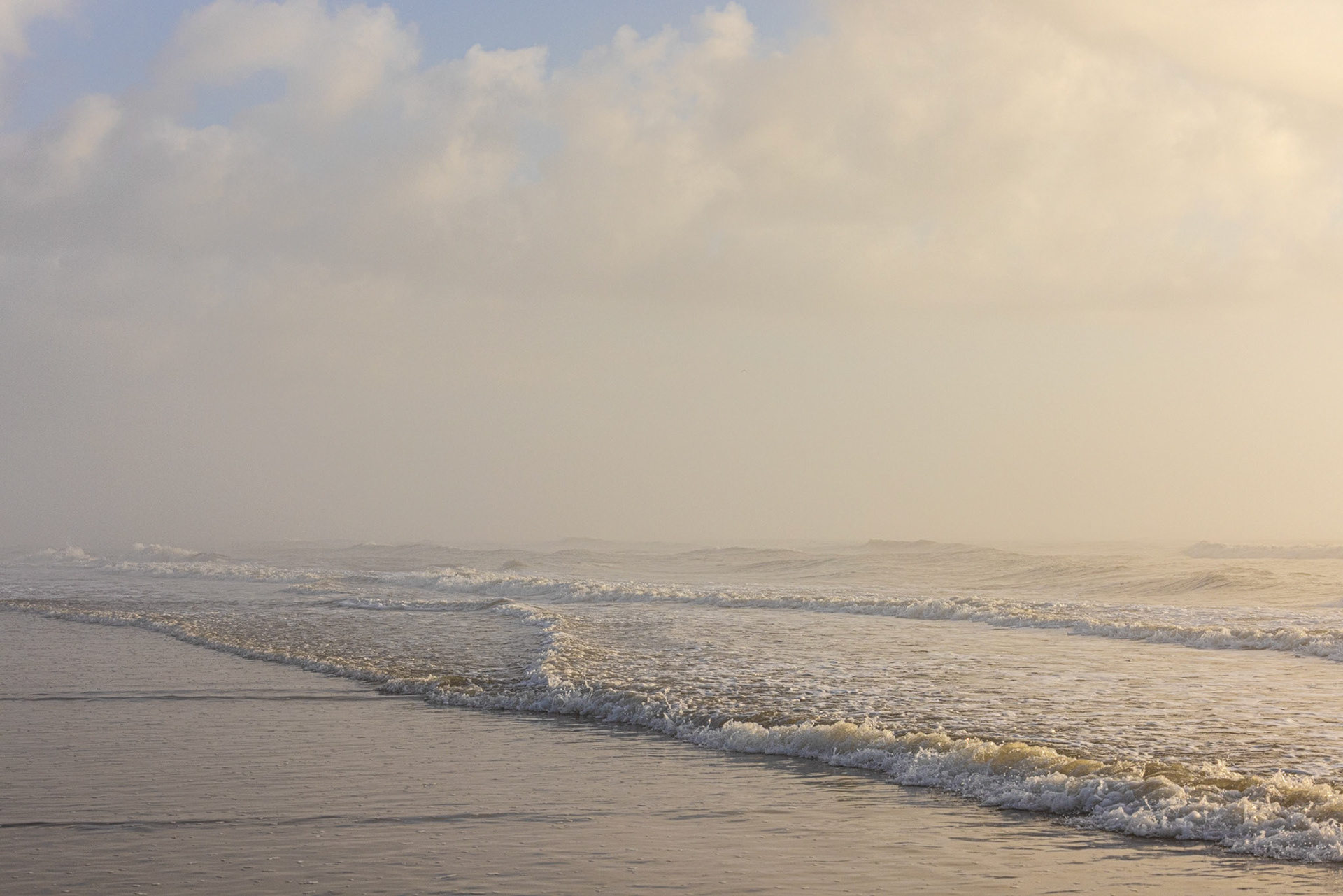 Foggy morning walk, Atlantic Beach FL
