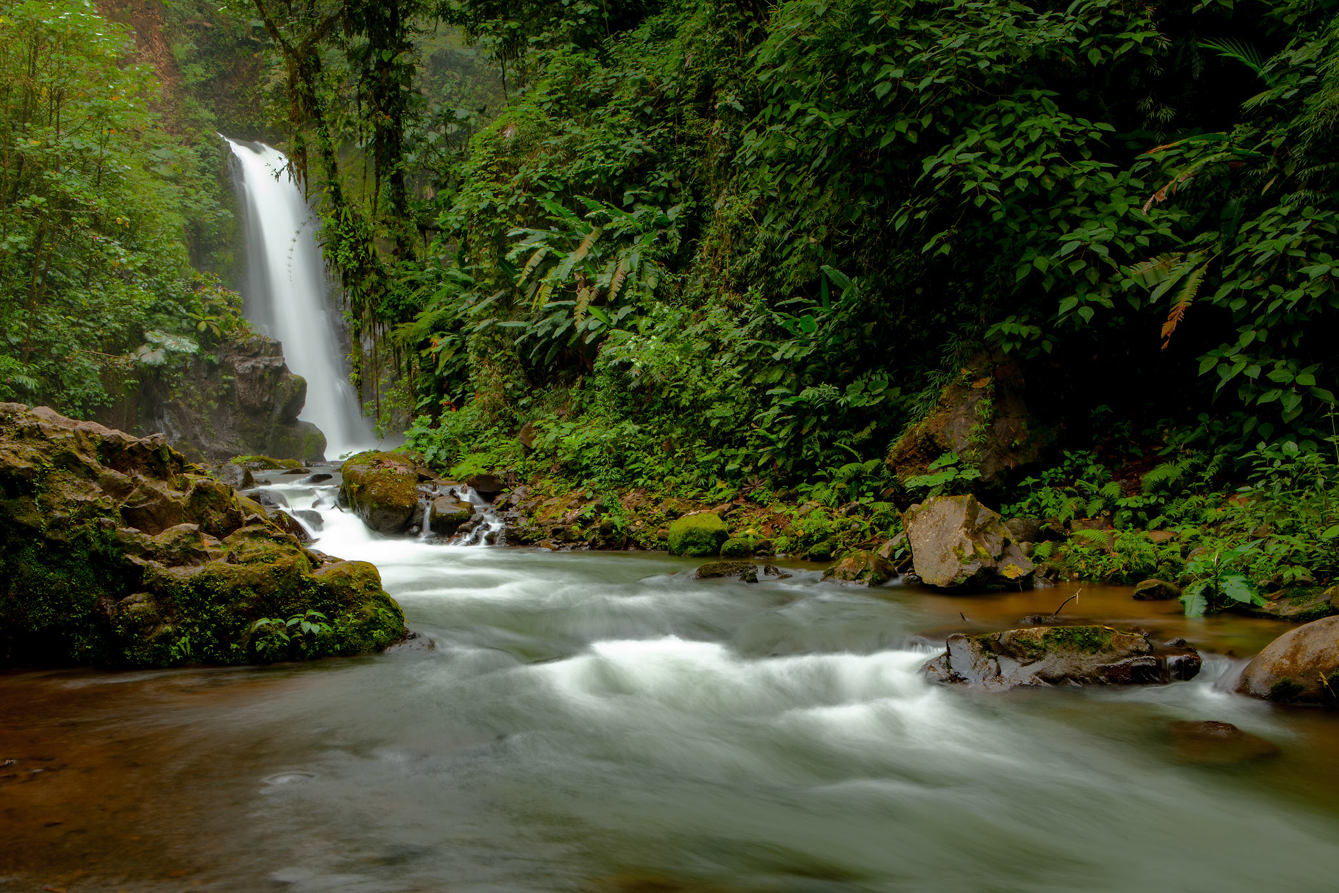 Roadside Waterfall, Costa Rica