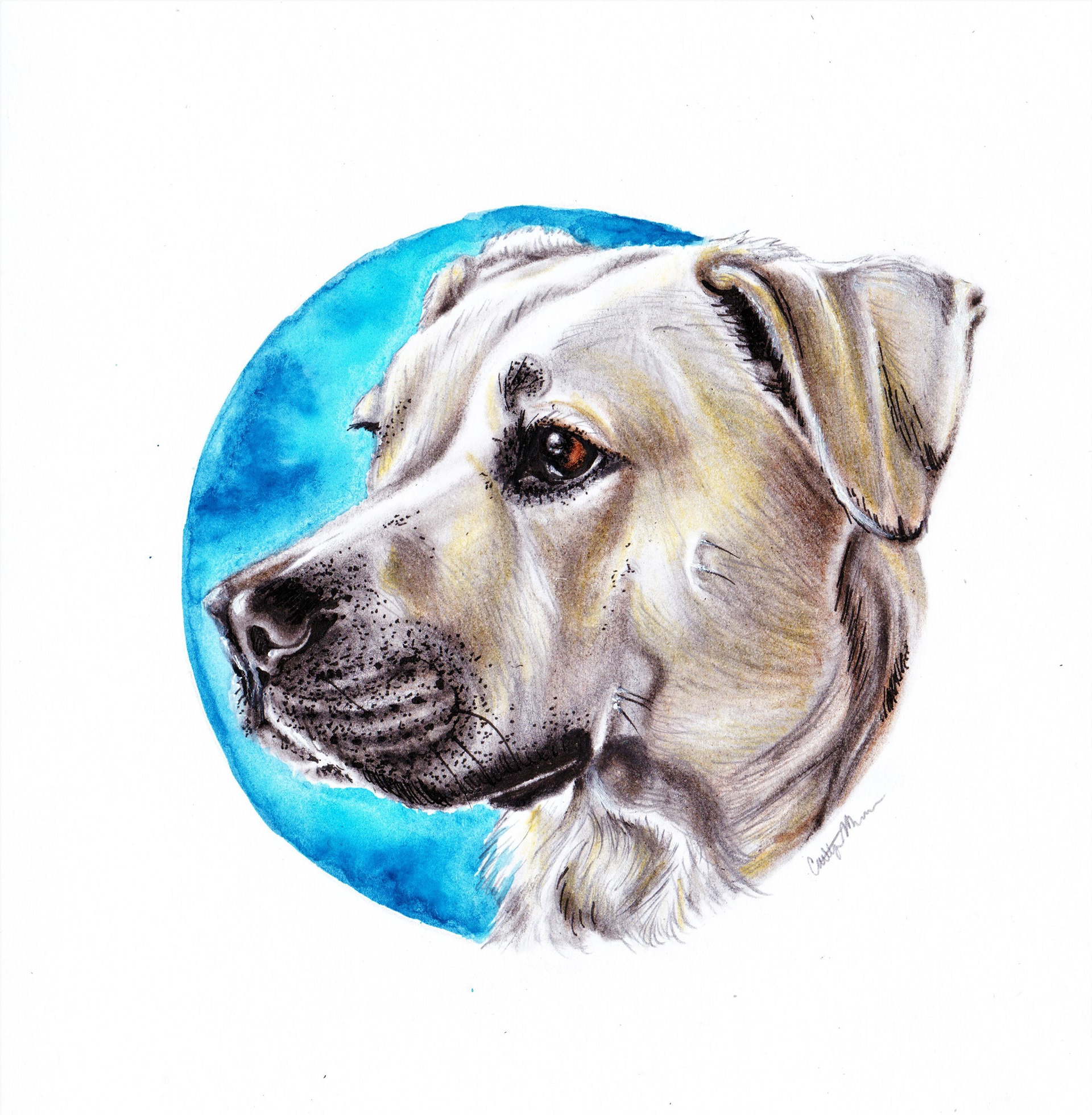 Millie - 5" x 7", watercolor, pencil, & pen (2020 Gift))