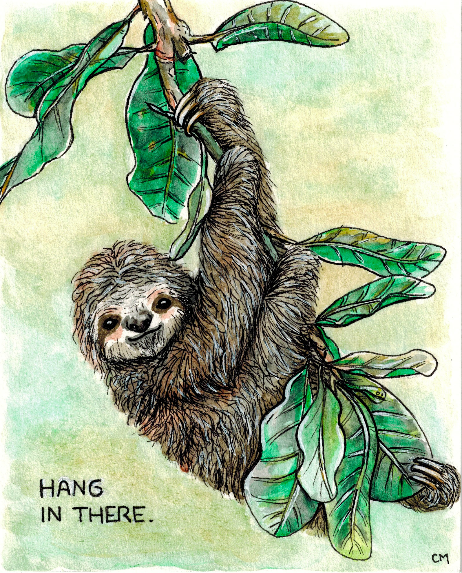 Hang in there - 5" x 7", watercolor & pen (2019 Card)