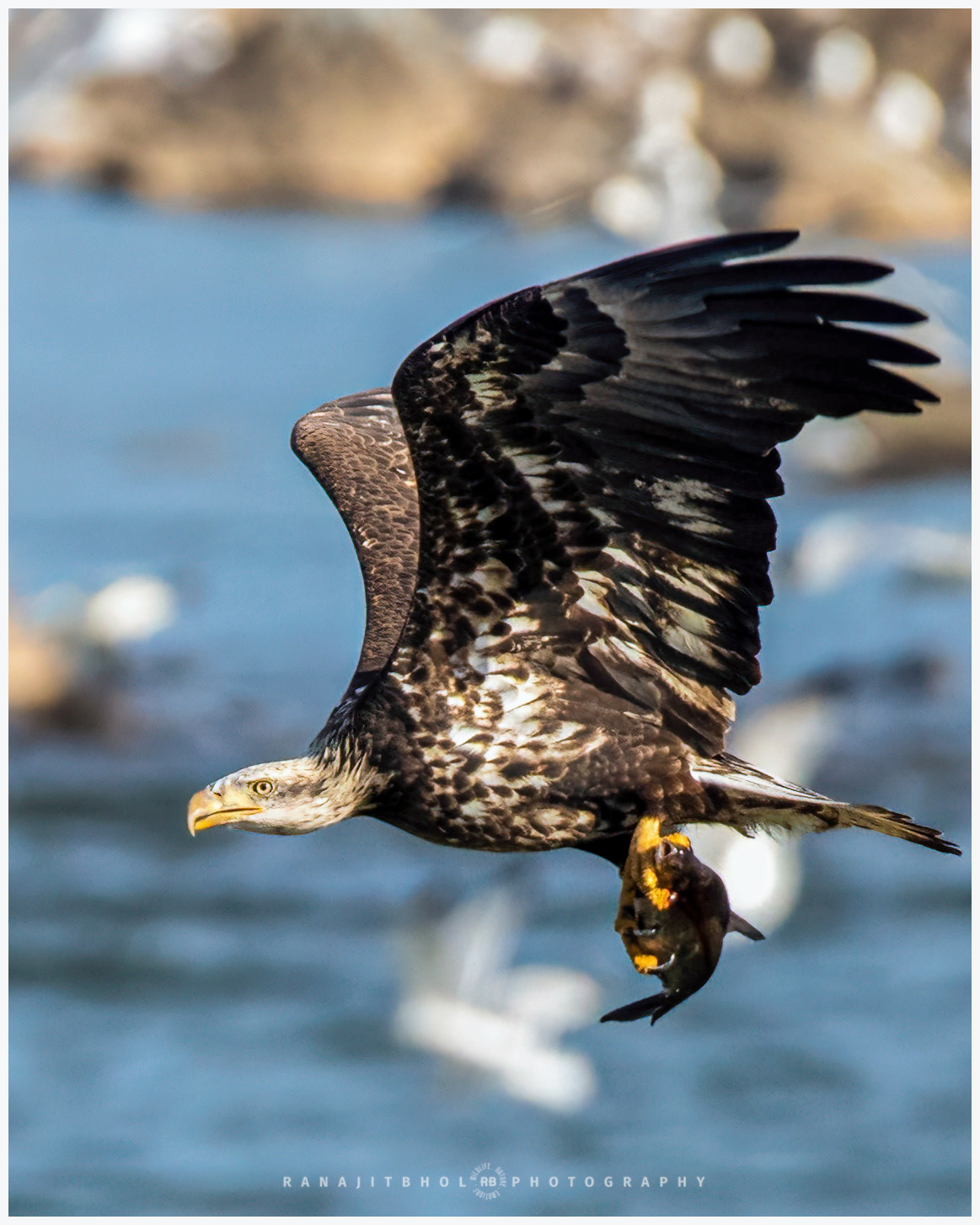 Yippee! I got a good catch