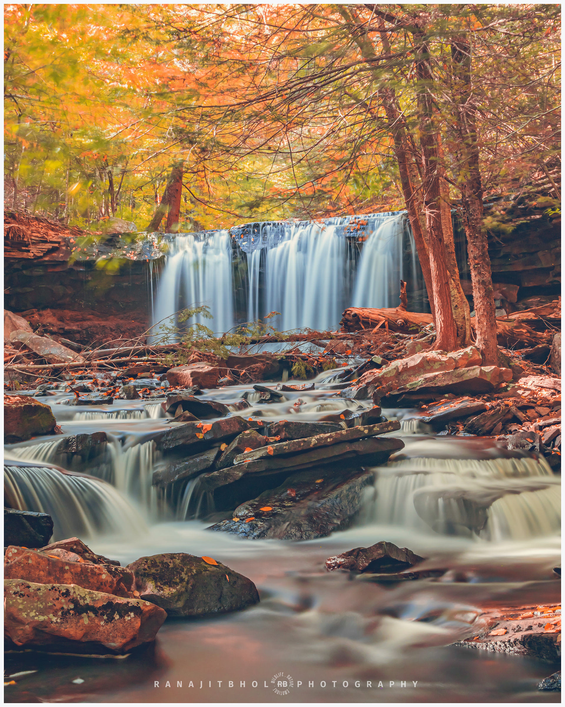 Waterfall with fall colors @Ricketts Glen State Park, PA