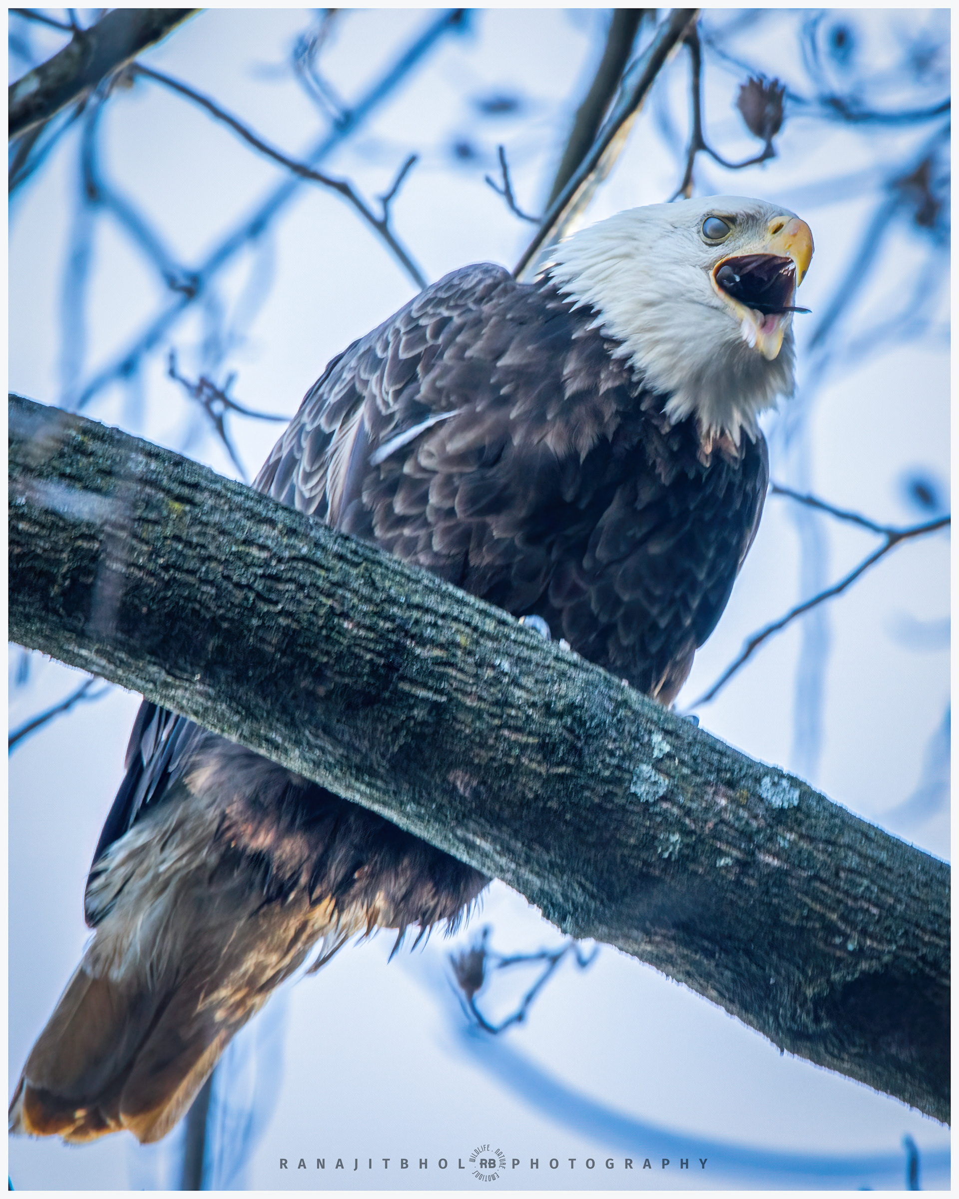 There it goes down my throat