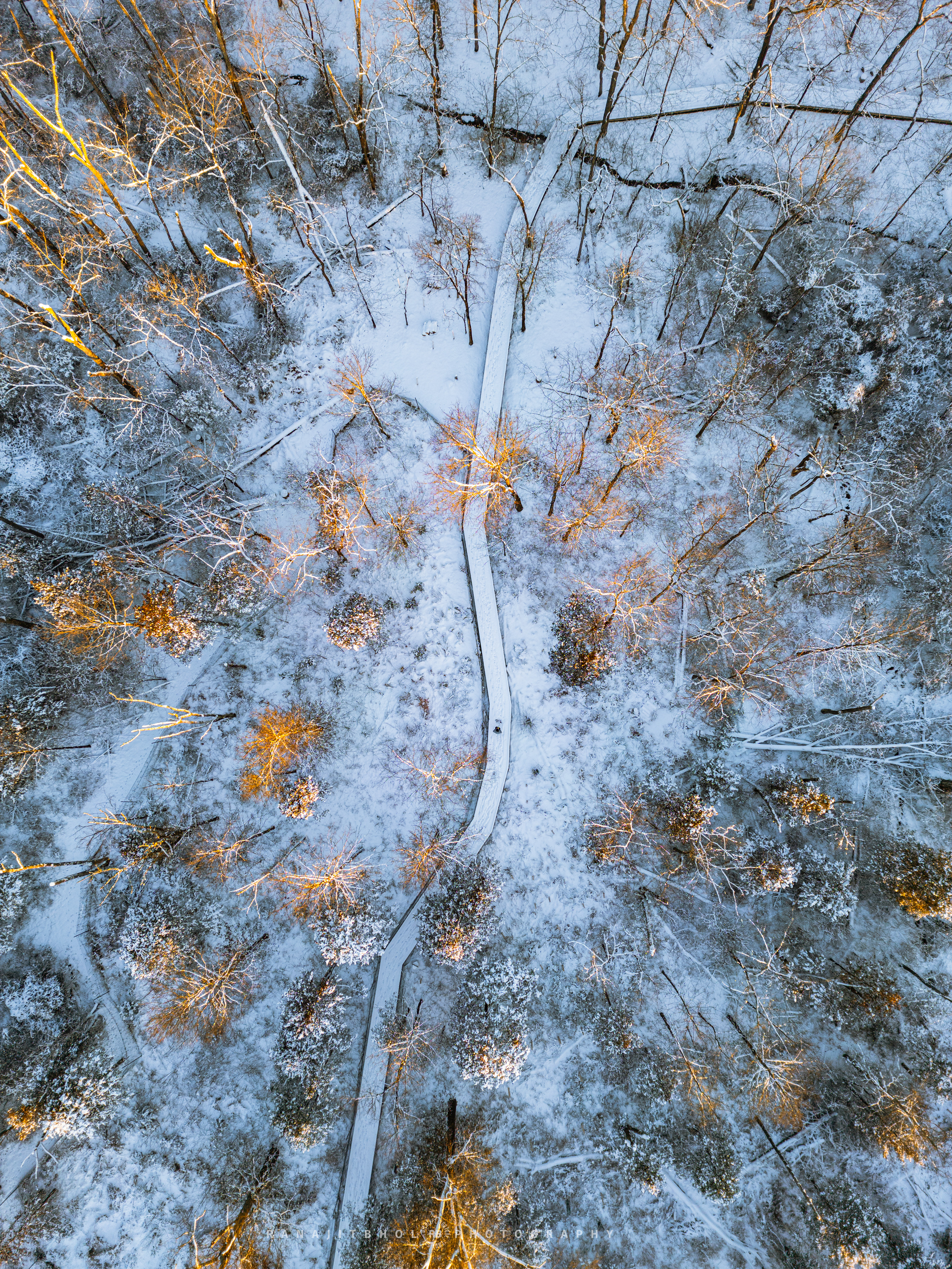Winter Landscape - Watershed Institute, NJ