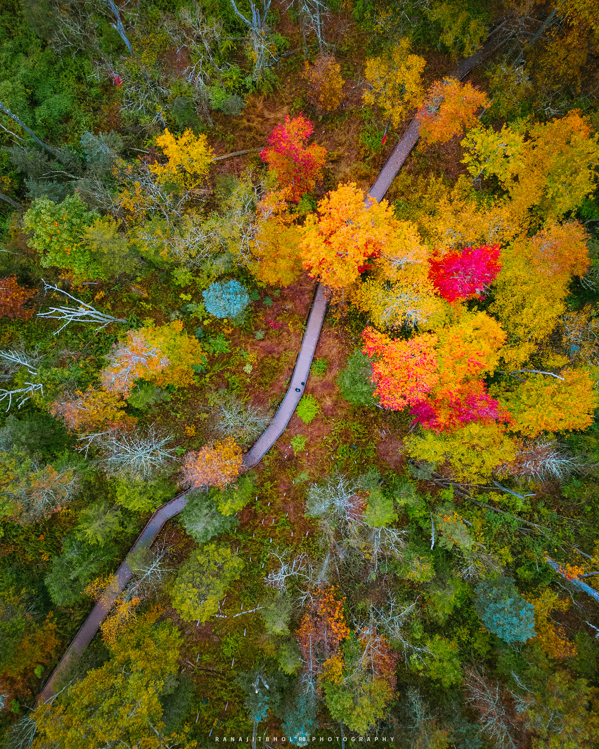 Fall Landscape - Watershed Institute, NJ