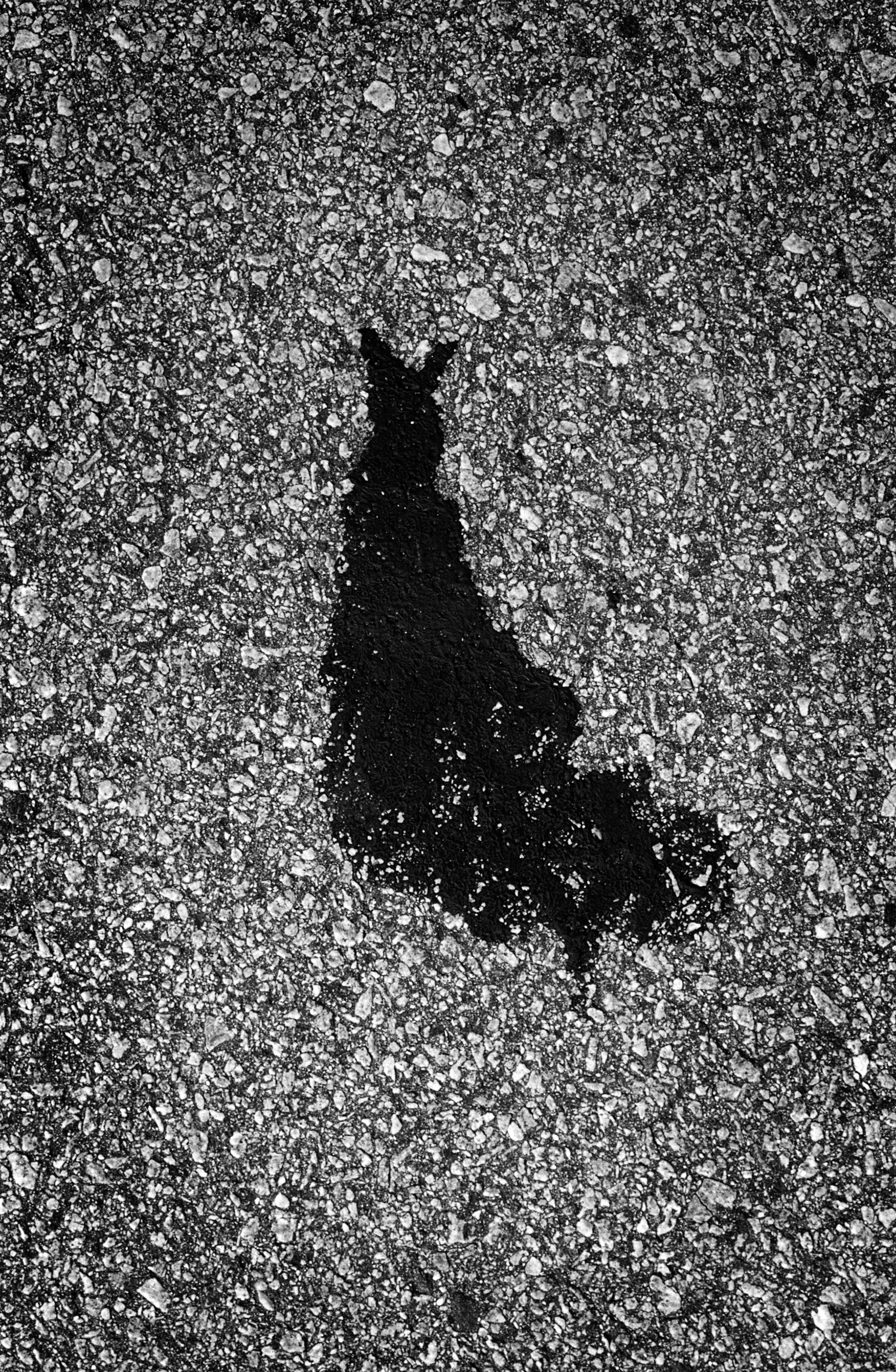 Silhouette, Atlanta Georgia