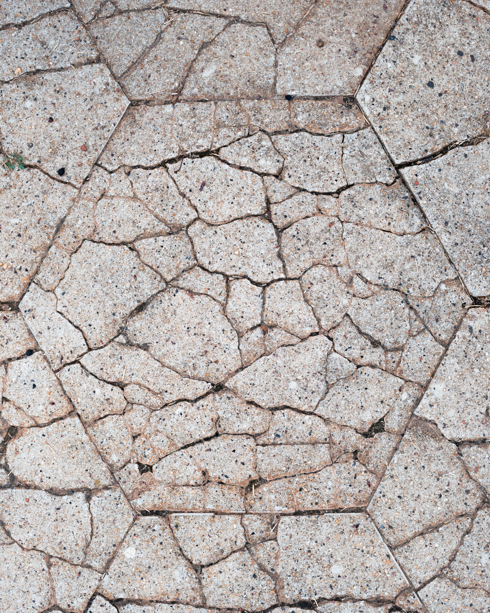 Weathered Paving Stone, Oakland Cemetery, Atlanta Georgia 2012