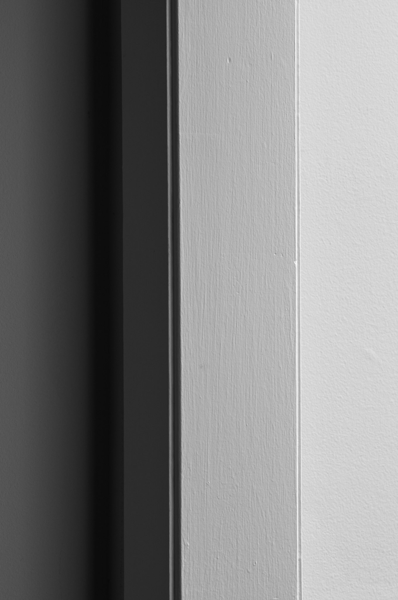 Verticals, Quiet Afternoon Light, 2011