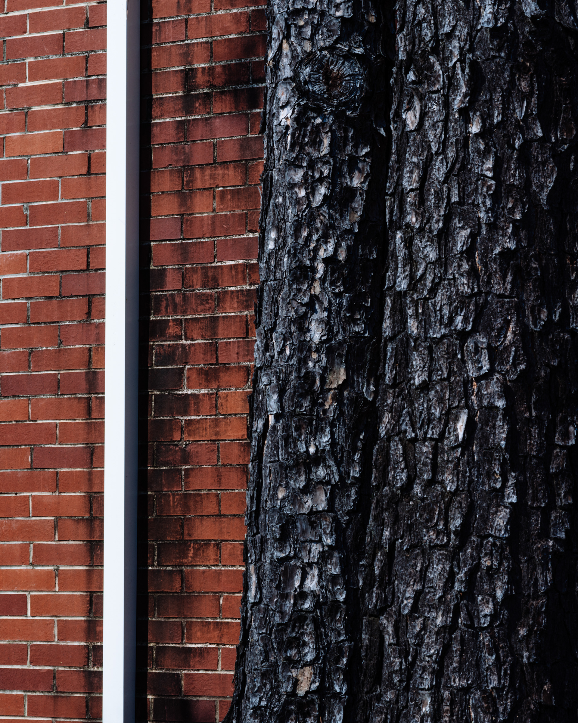 Industrial Park Detail, Atlanta Georgia