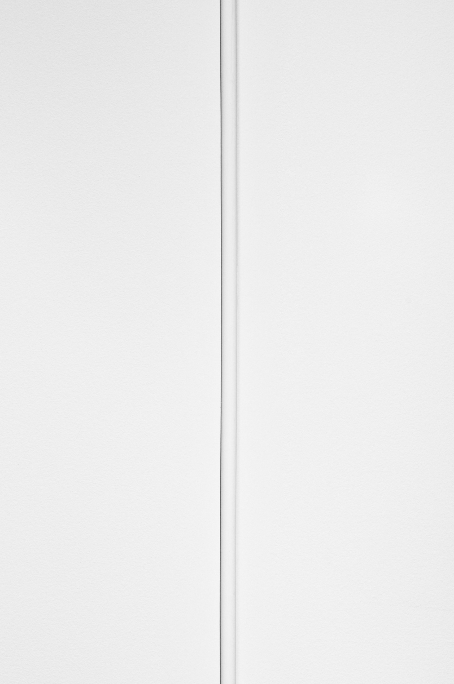 Speaker Cable Shield