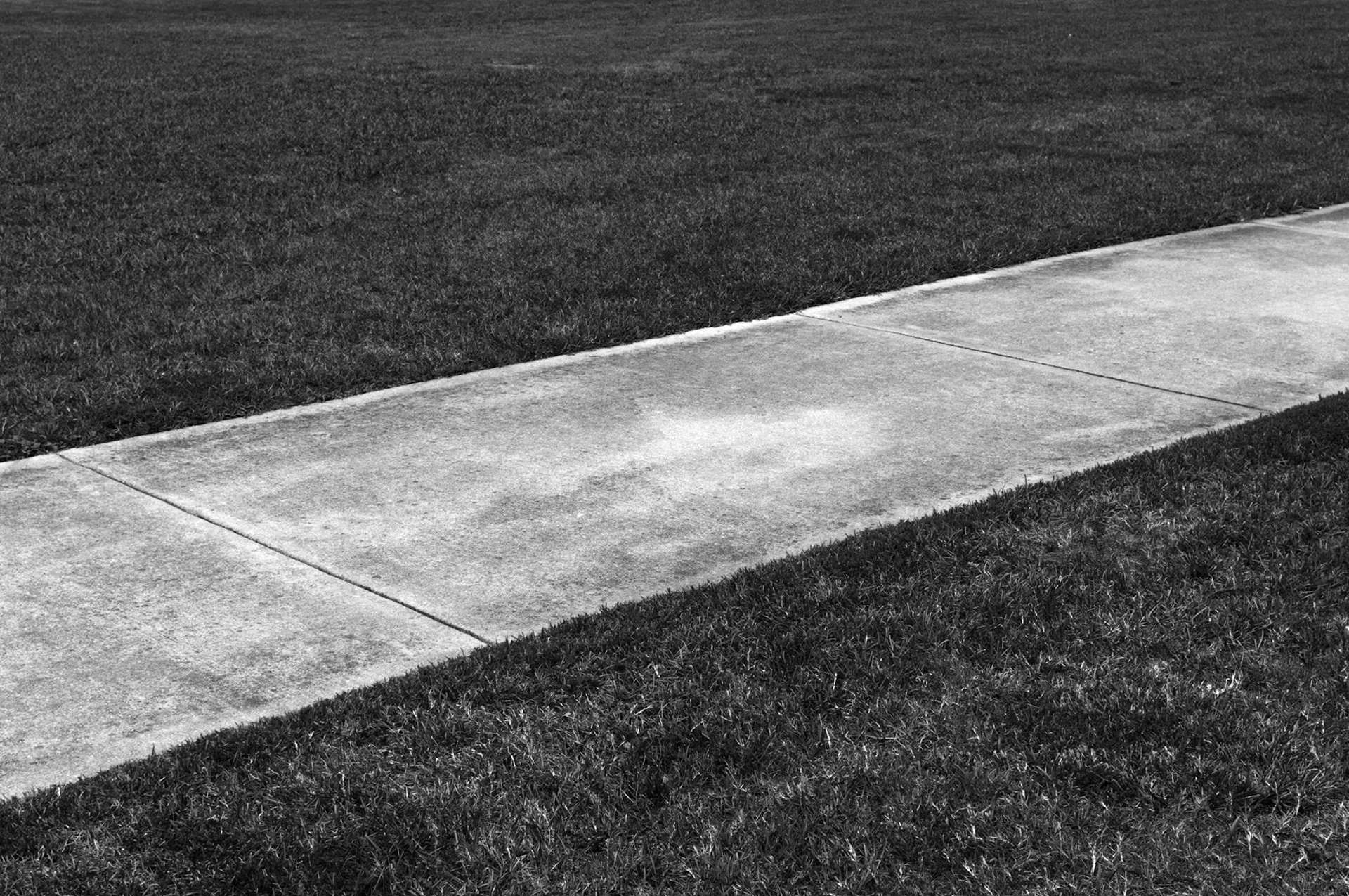 Sidewalk Detail, Monastery of the Holy Spirit, Conyers Georgia 2009
