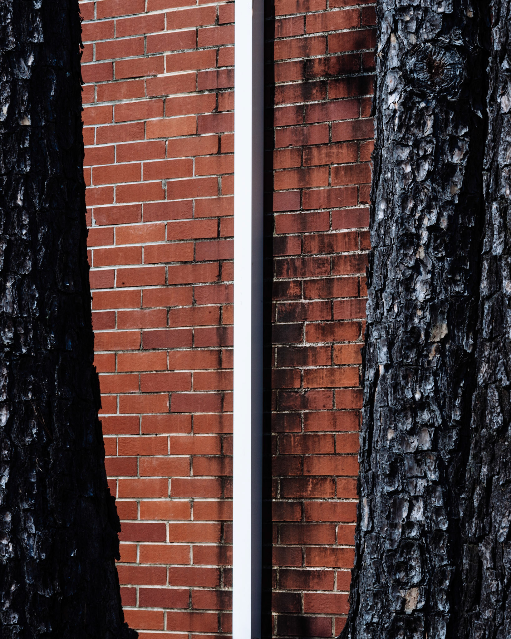Industrial Park Detail, Atlanta Georgia 2015
