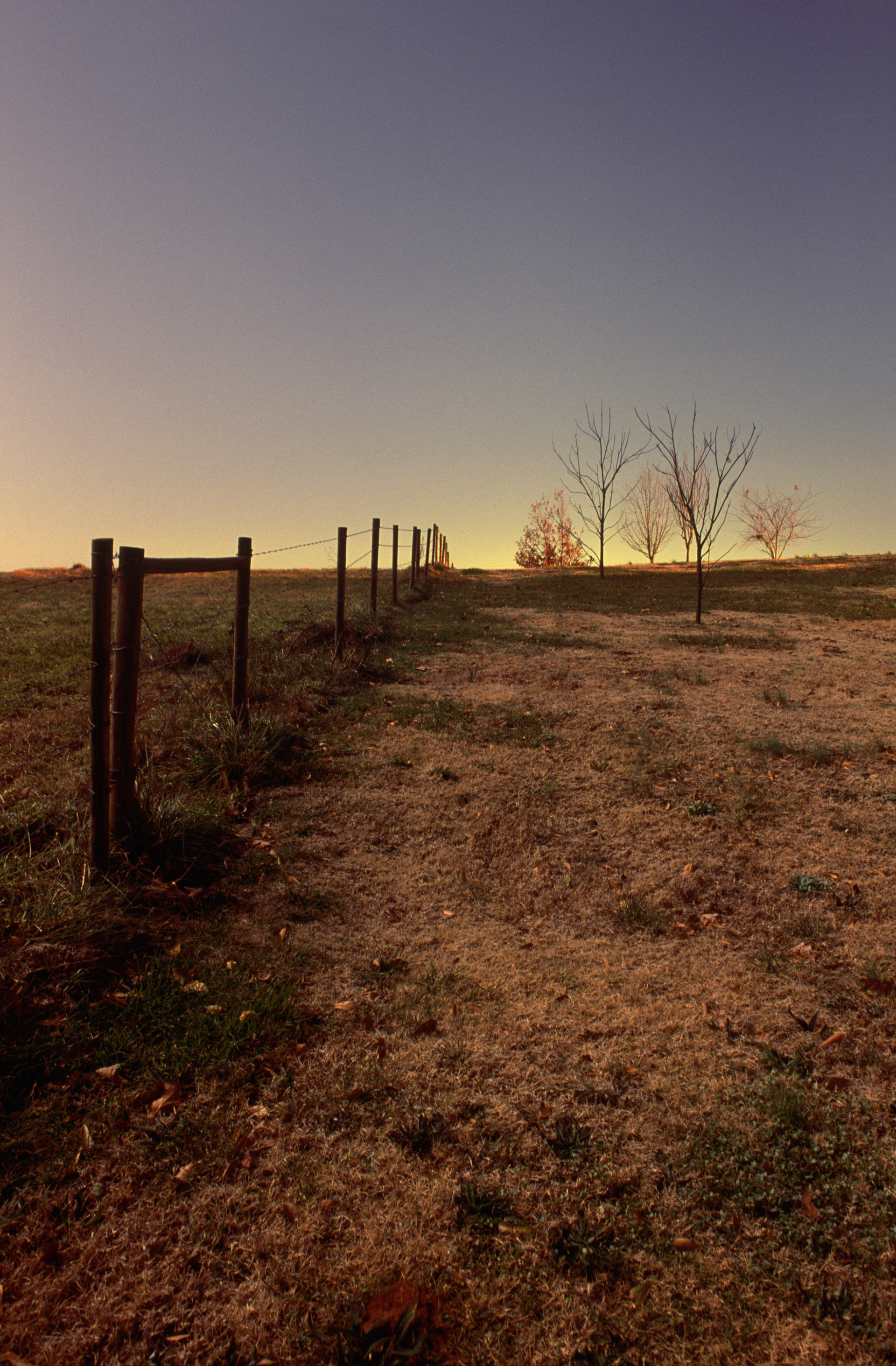 Landscape Under a Full Moon