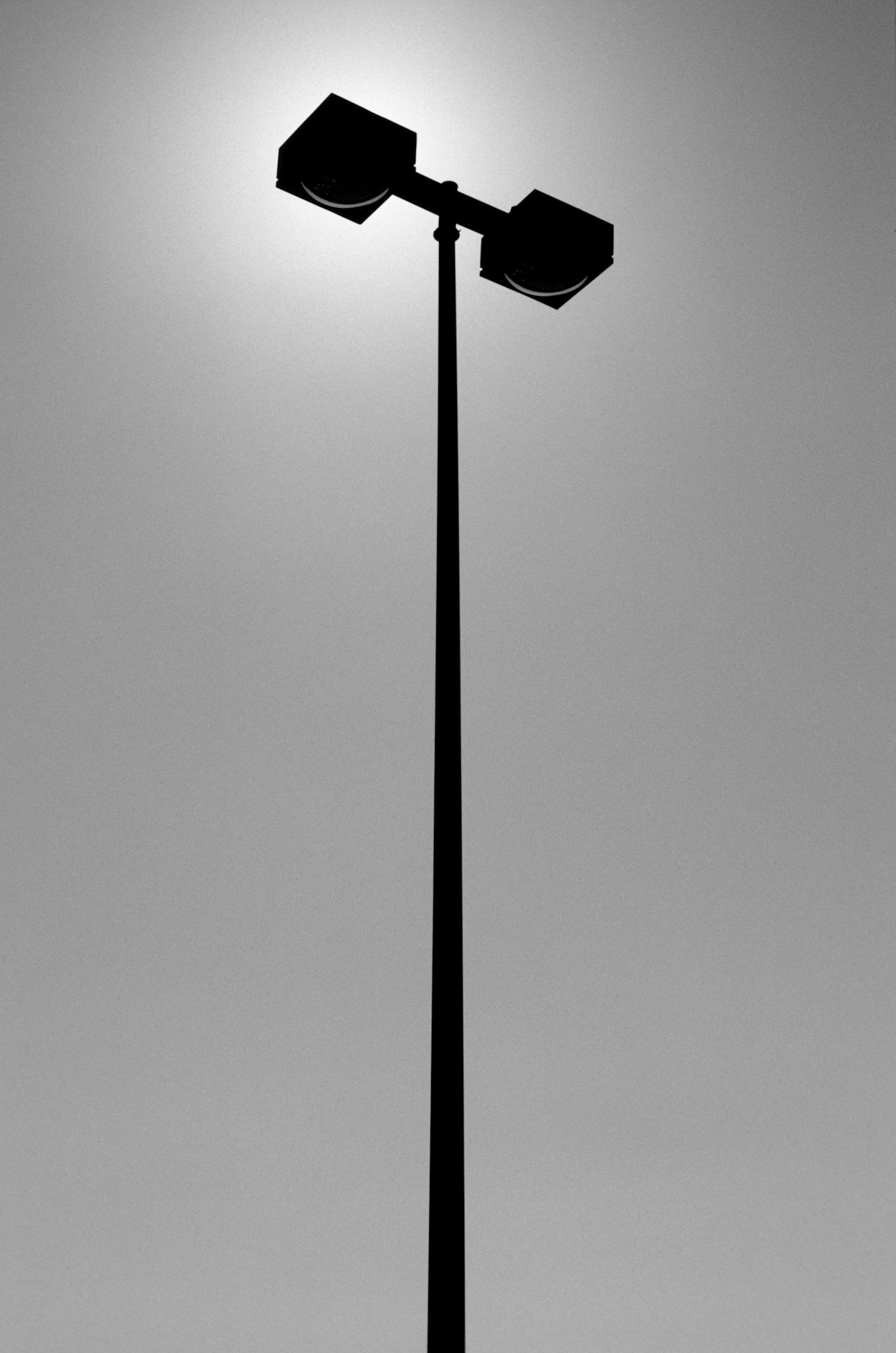Afternoon Silhouette, Atlanta Georgia 2006