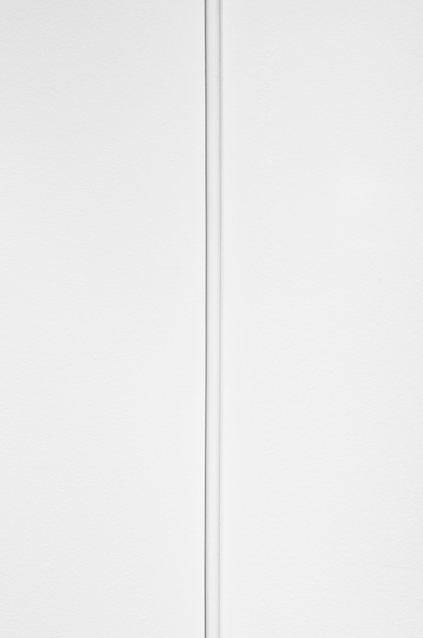 Speaker Cable Shield, 2011