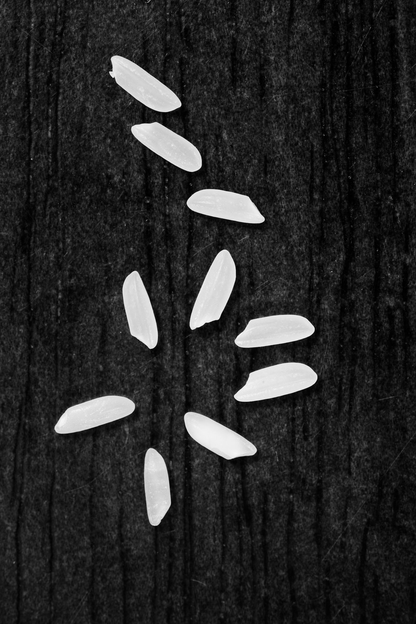 Grains of Rice, 2019