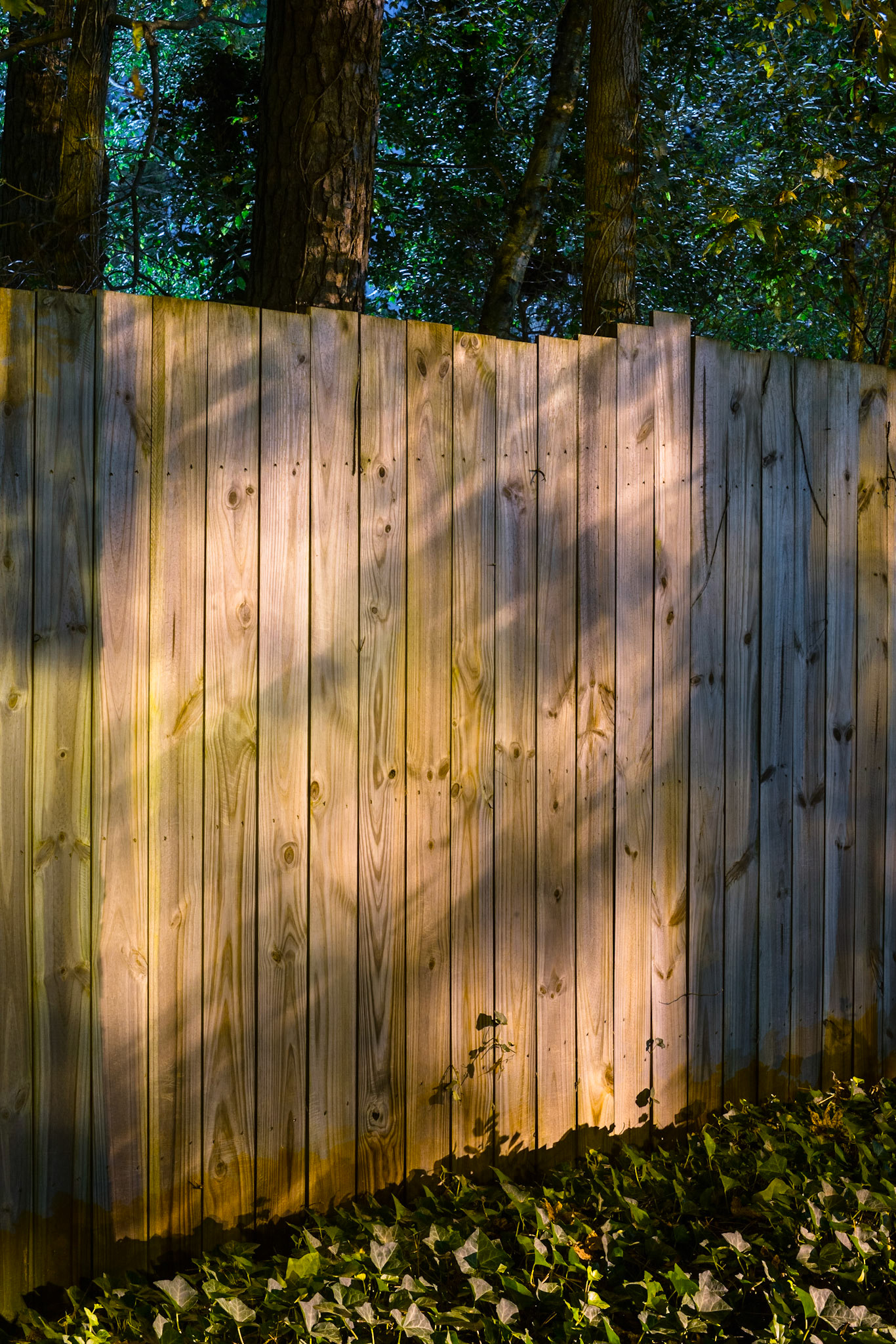 Summer Nocturne, Atlanta Georgia 2014