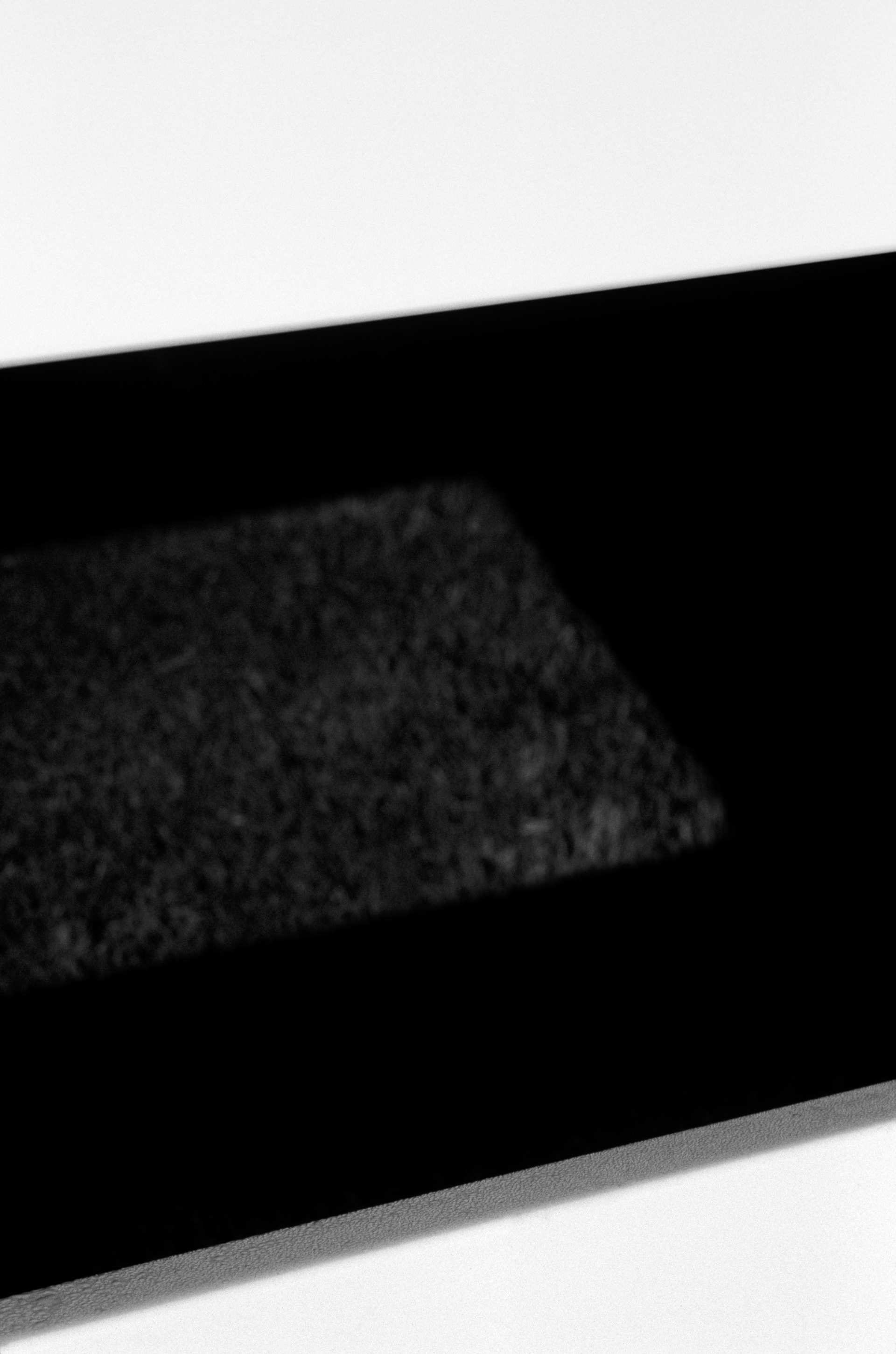 Plastic Fence with Morning Dew, Atlanta Georgia