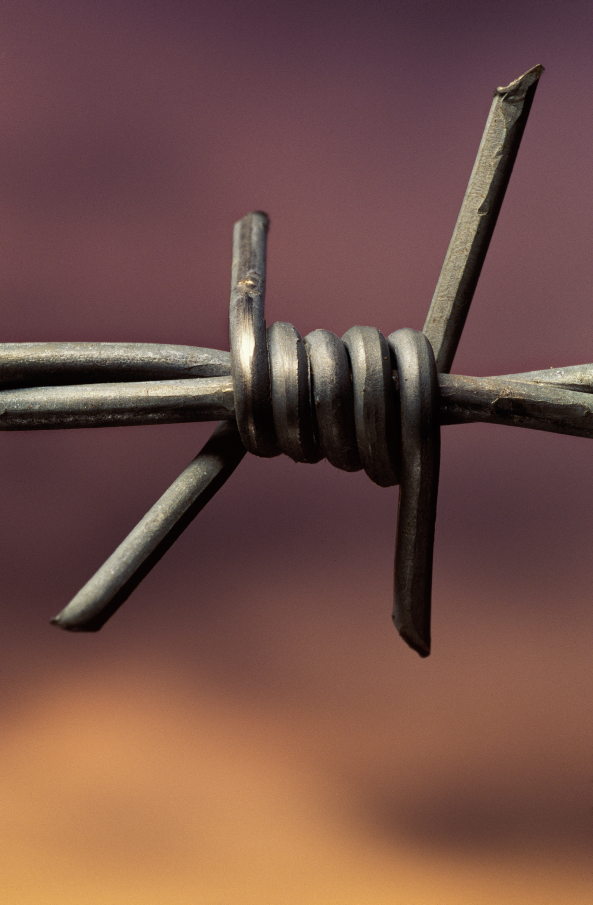 Barbed Wire at Sunset, Nicholson Georgia