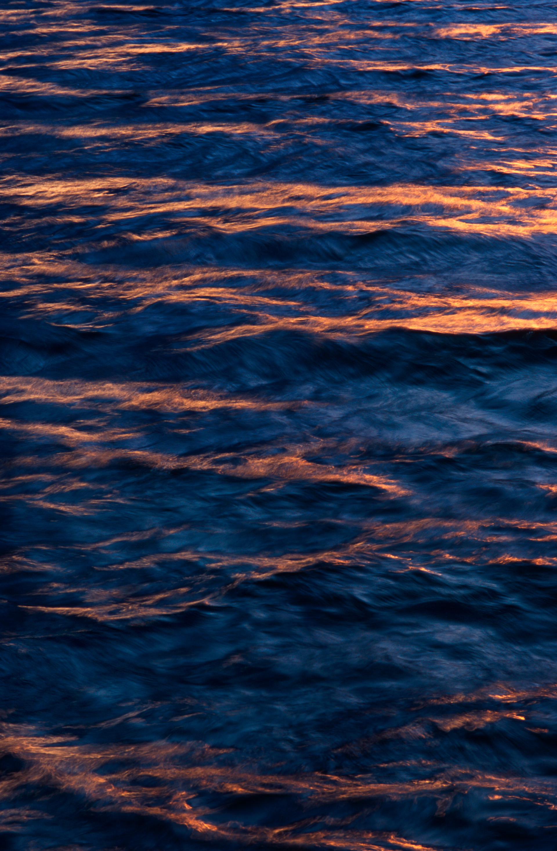 Color Contrast at Lake Lanier, Atlanta Georgia