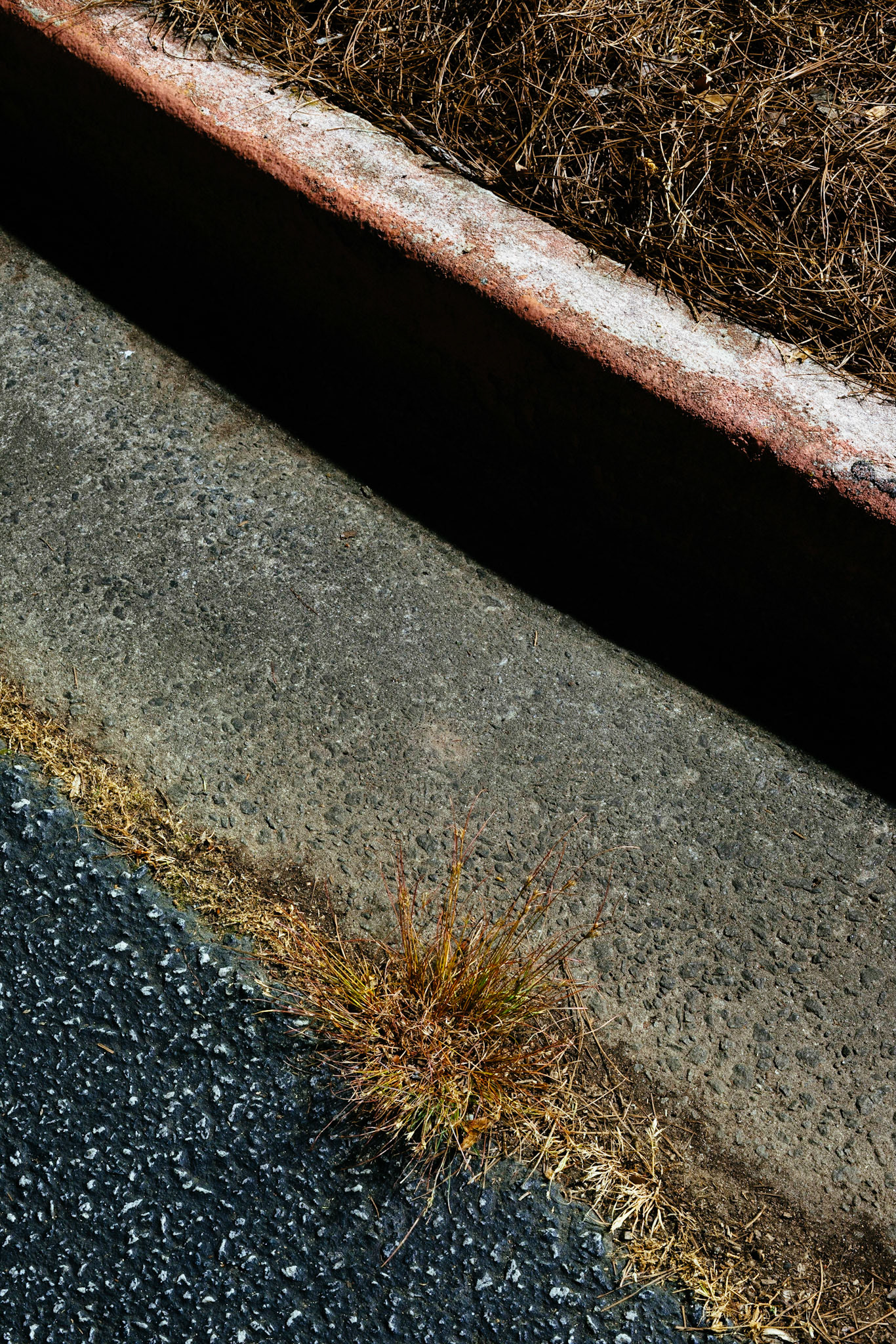 Dried grass and curb, Atlanta GA 2017