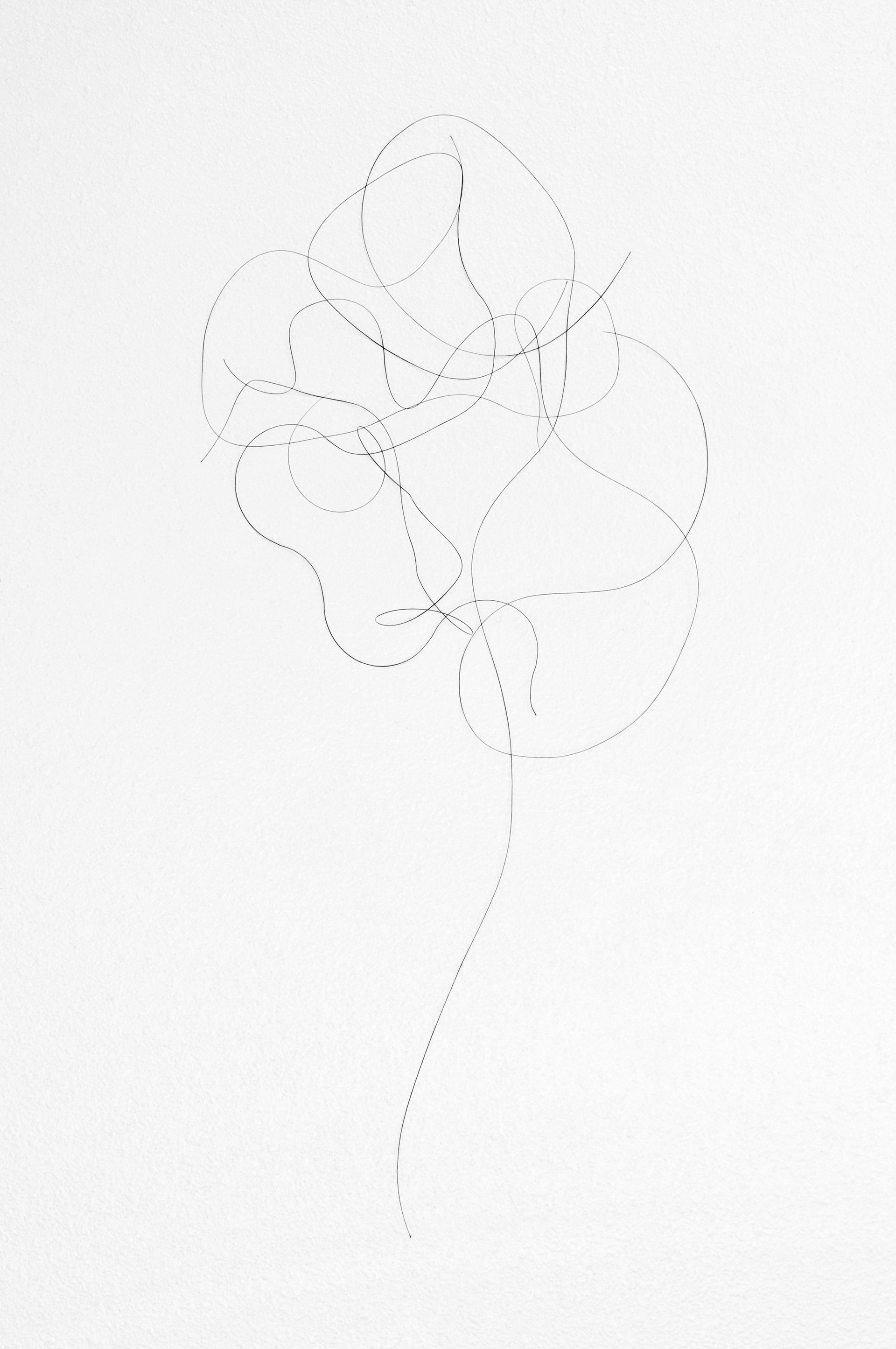 Strands of Hair Imitating a Sketch of a Tree