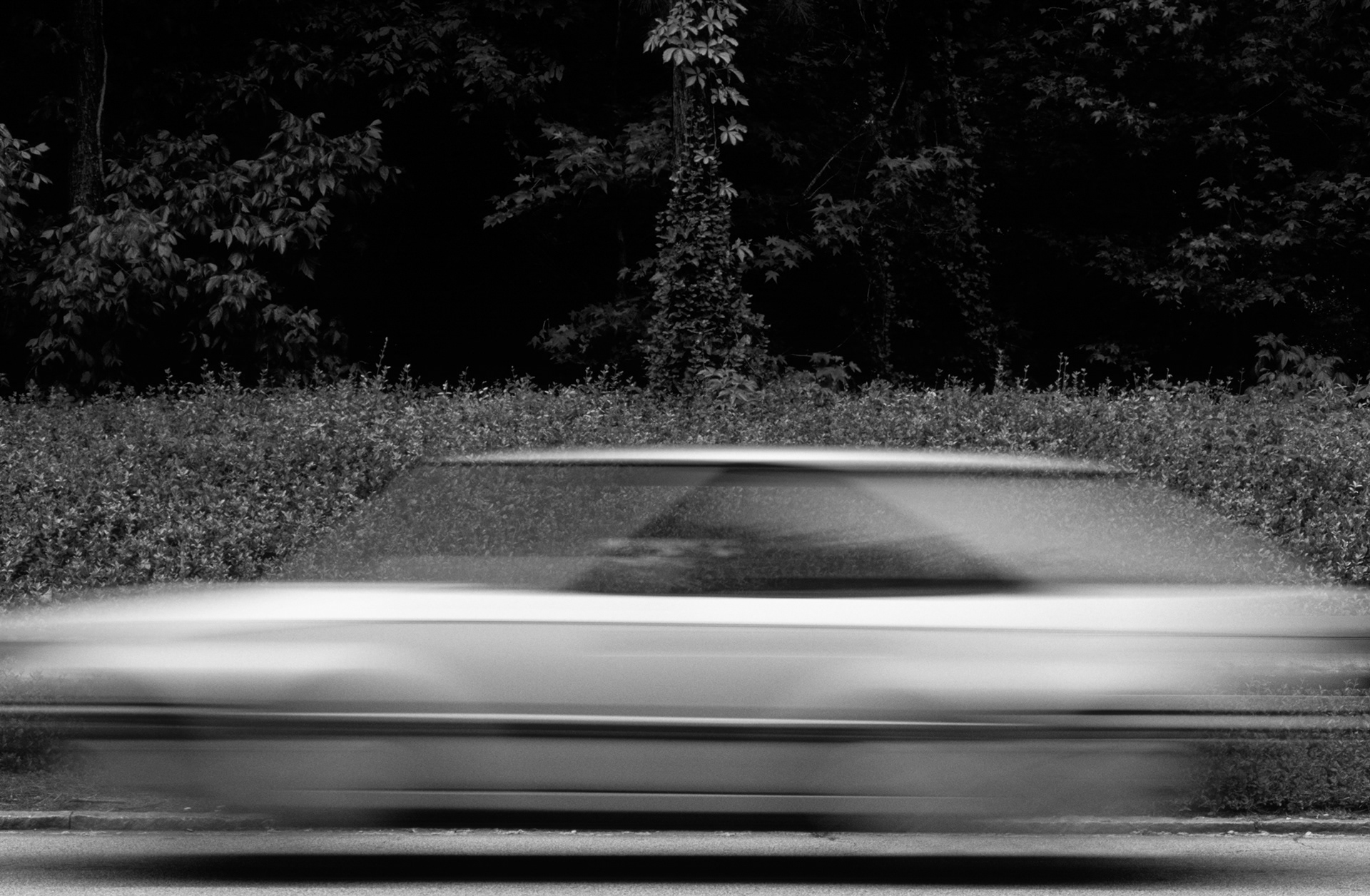 Suspended Animation, Atlanta Georgia