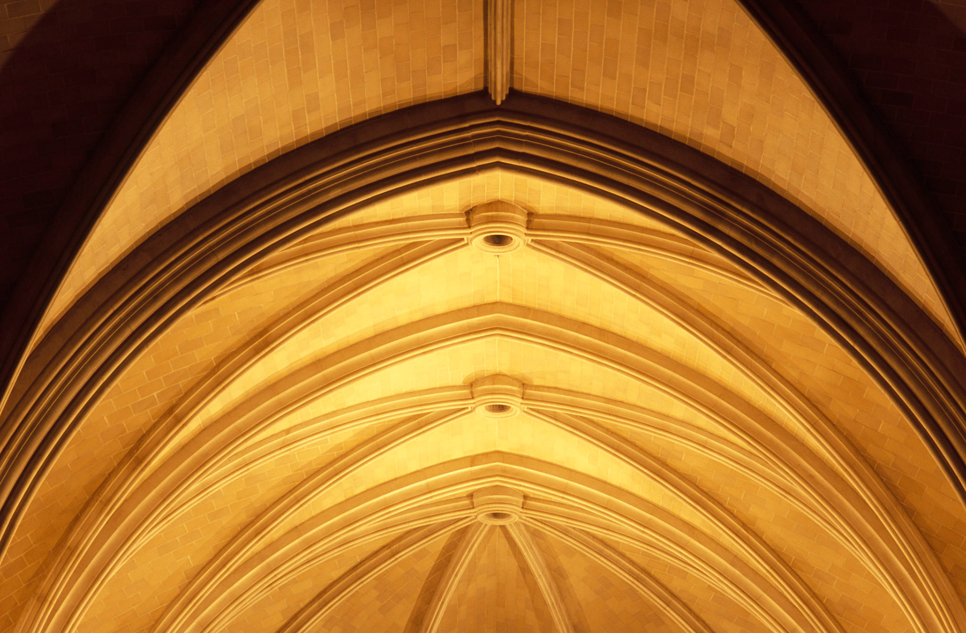 Apse Vaulting, Cathedral of St. Philip, Atlanta Georgia 2003