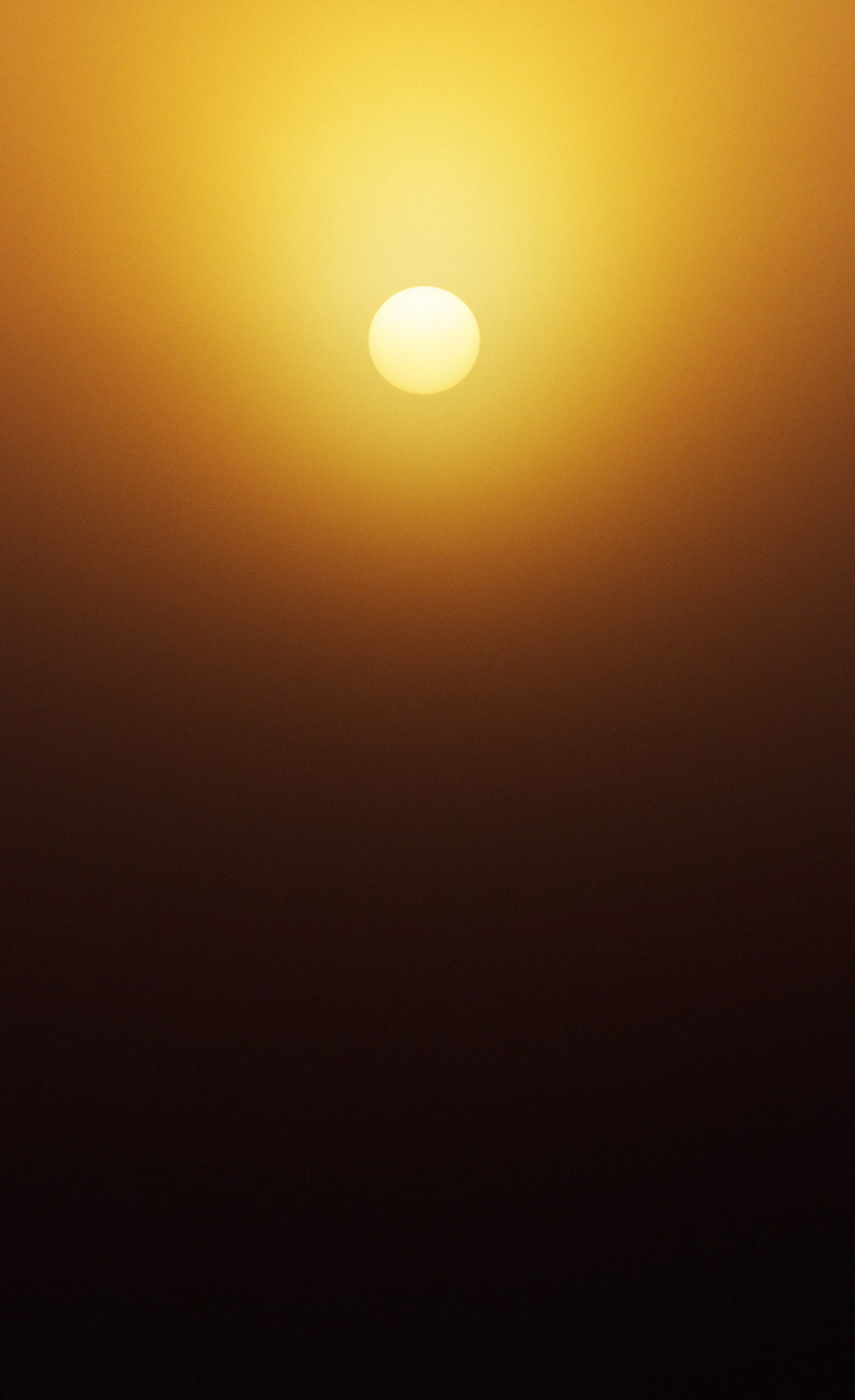 Summer Sunrise, Chattahoochee River (Old Sol with Clearing Fog), Atlanta Georgia 2005